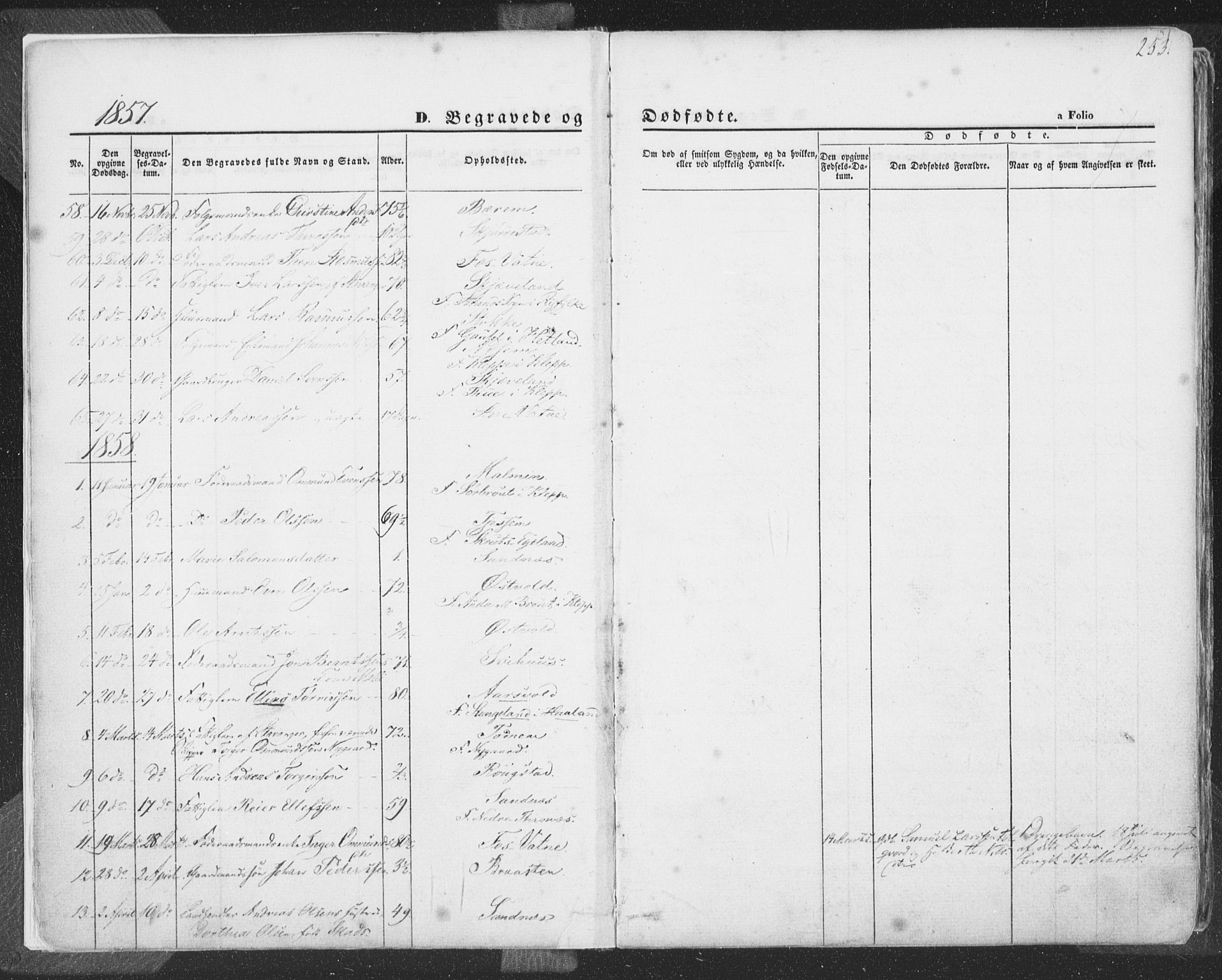 Høyland sokneprestkontor, SAST/A-101799/001/30BA/L0009: Parish register (official) no. A 9.2, 1857-1877, p. 253