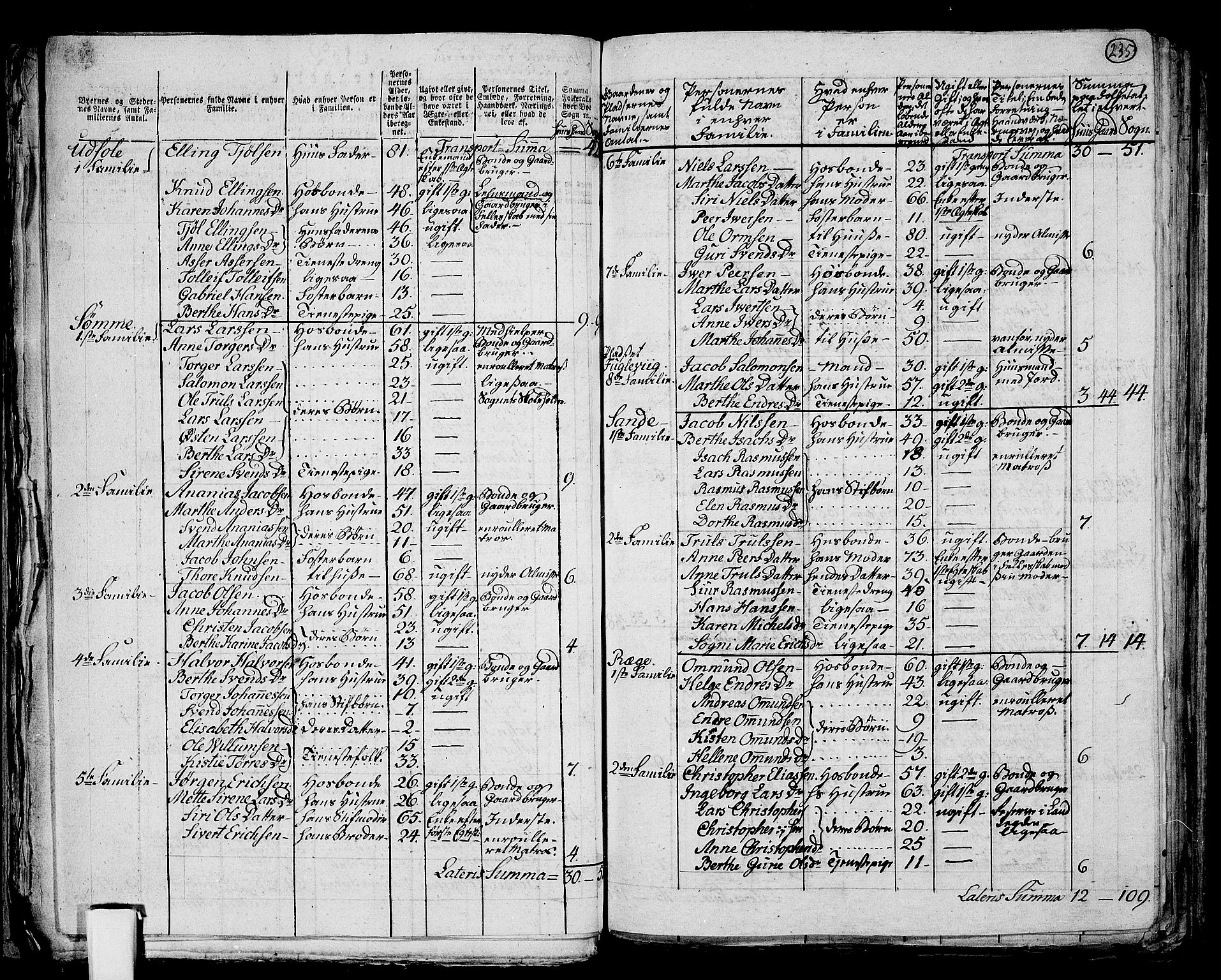 RA, 1801 census for 1124P Håland, 1801, p. 234b-235a