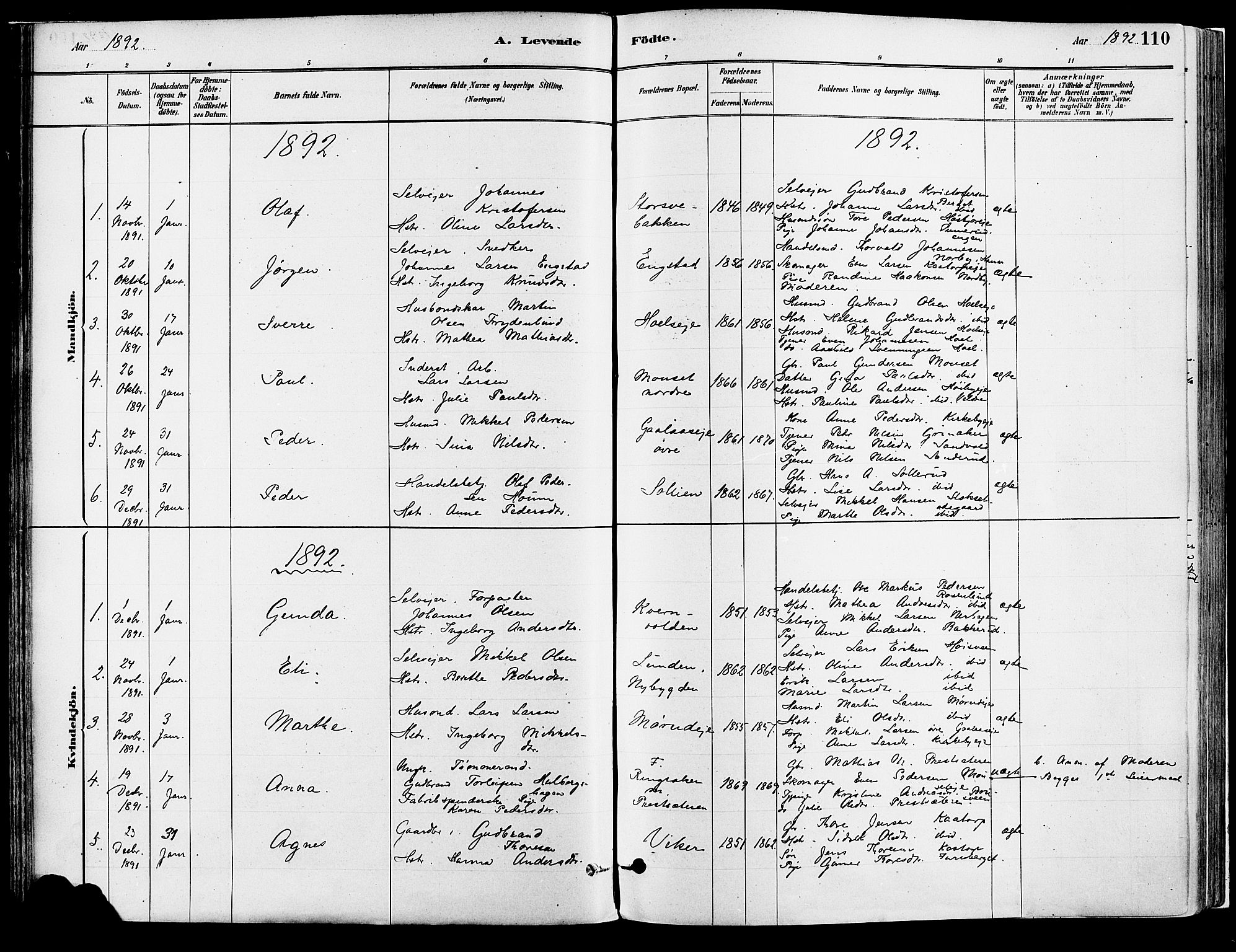 Vang prestekontor, Hedmark, AV/SAH-PREST-008/H/Ha/Haa/L0018A: Parish register (official) no. 18A, 1880-1906, p. 110