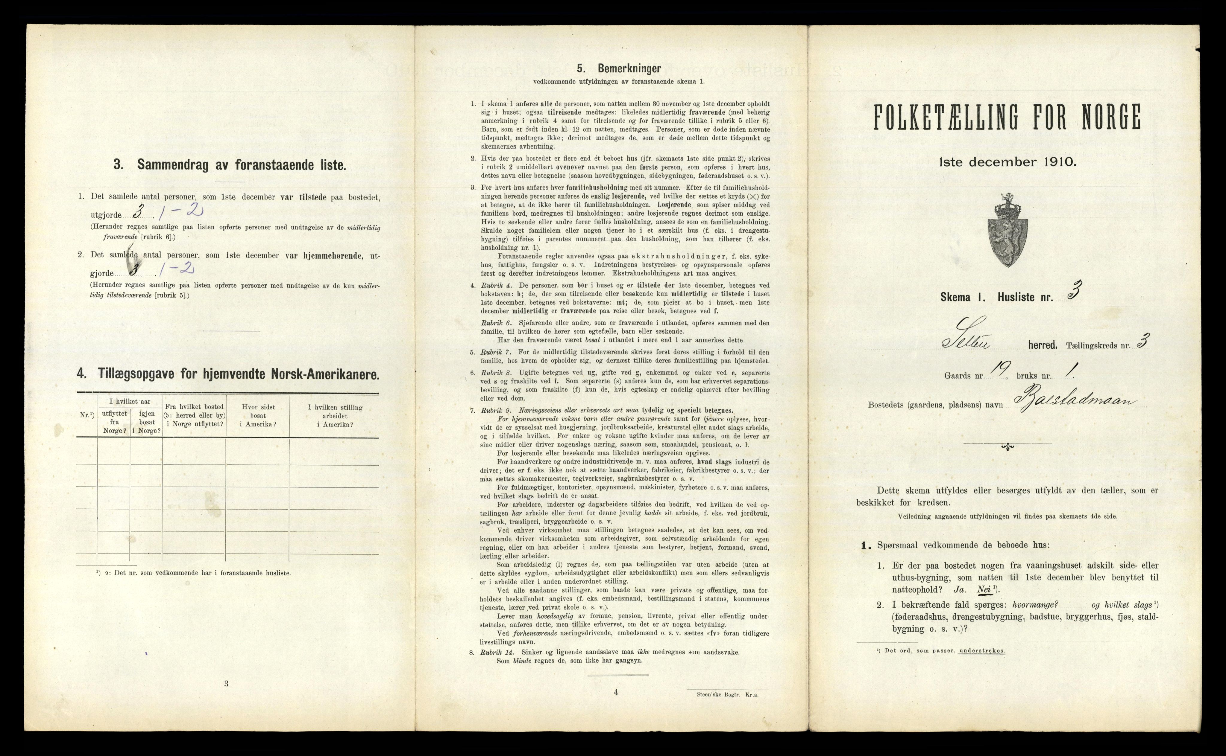 RA, 1910 census for Selbu, 1910, p. 208