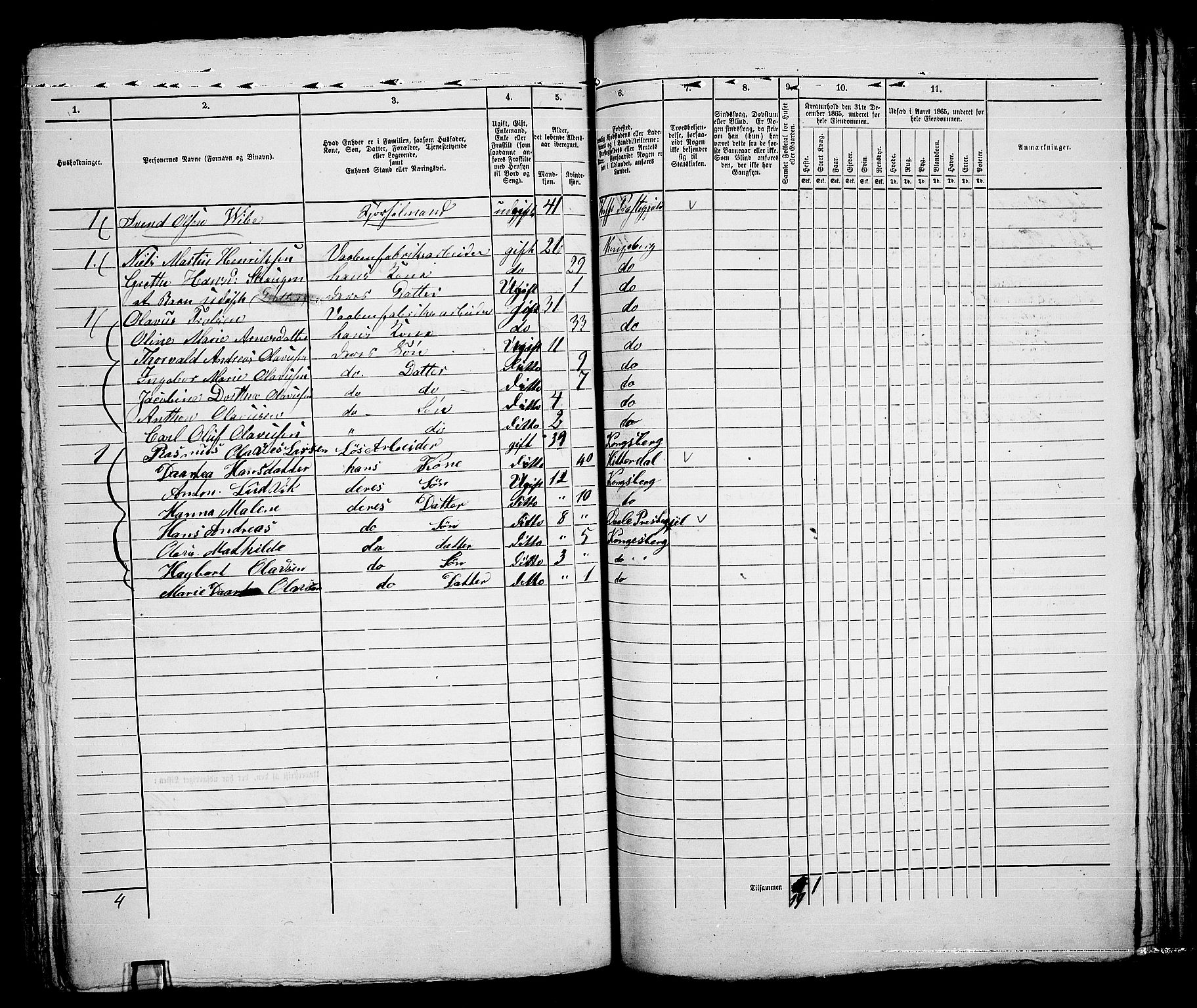 RA, 1865 census for Kongsberg/Kongsberg, 1865, p. 333