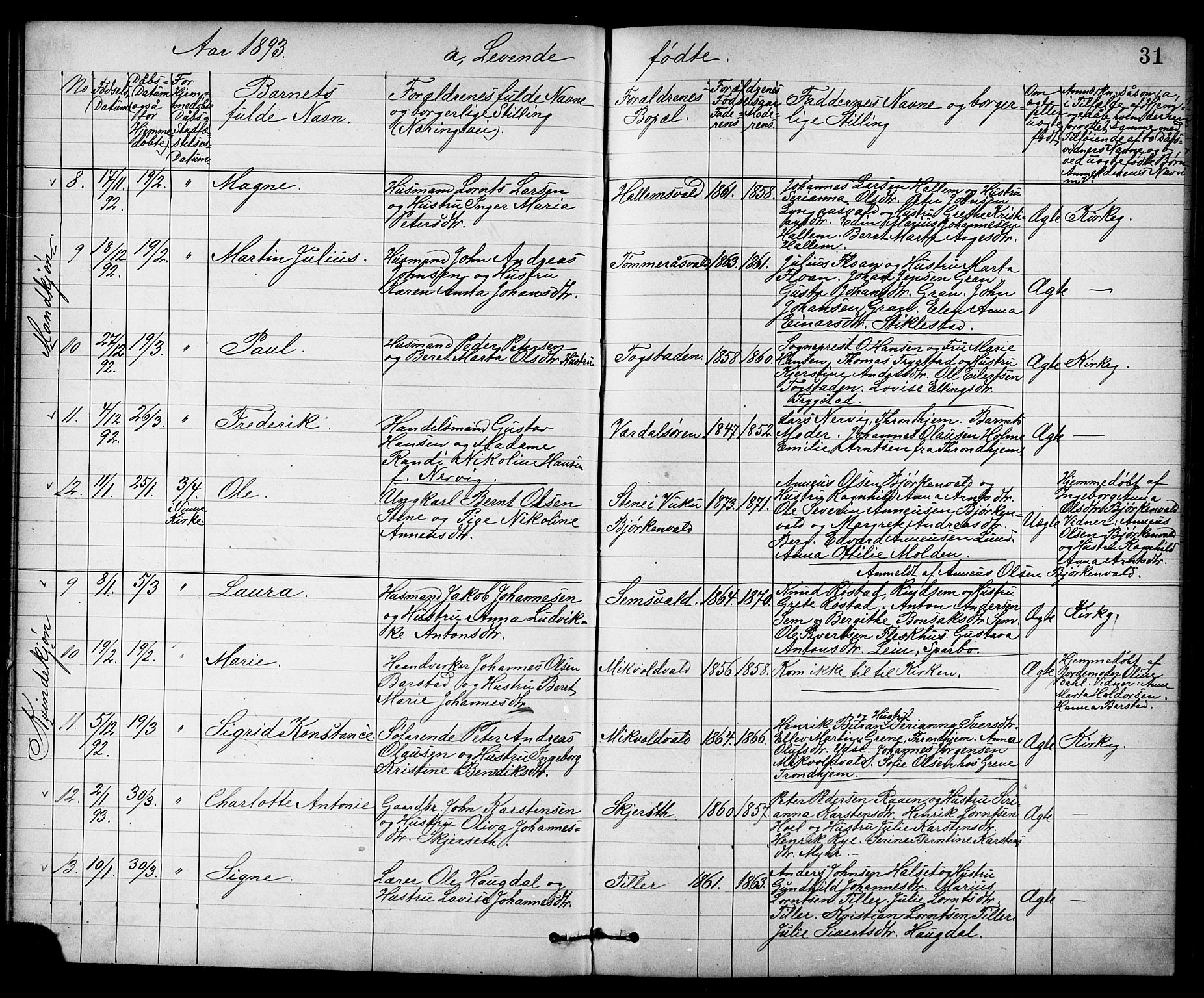 Ministerialprotokoller, klokkerbøker og fødselsregistre - Nord-Trøndelag, AV/SAT-A-1458/723/L0257: Parish register (copy) no. 723C05, 1890-1907, p. 31