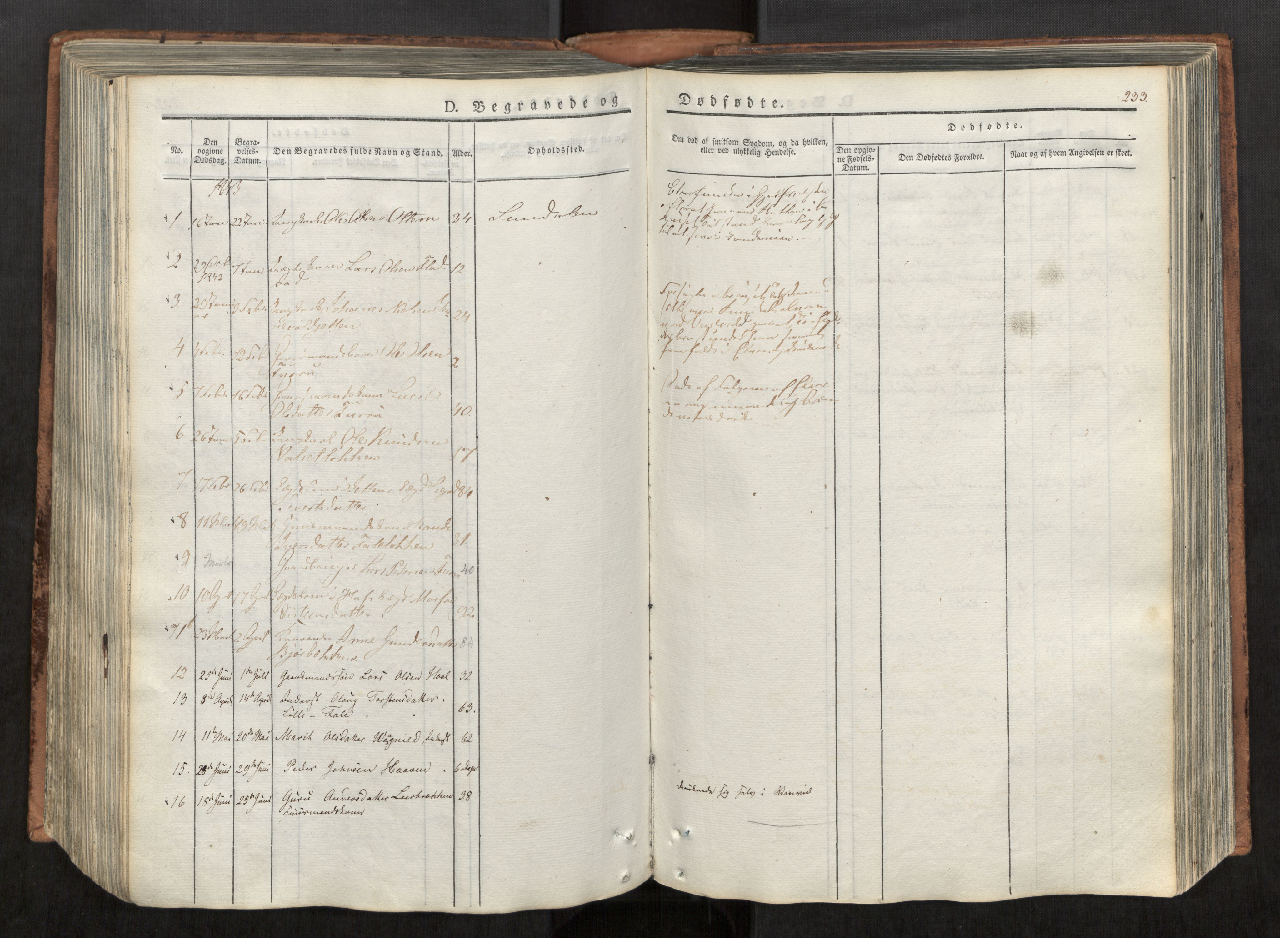 Ministerialprotokoller, klokkerbøker og fødselsregistre - Møre og Romsdal, AV/SAT-A-1454/590/L1012: Parish register (official) no. 590A04, 1832-1846, p. 233