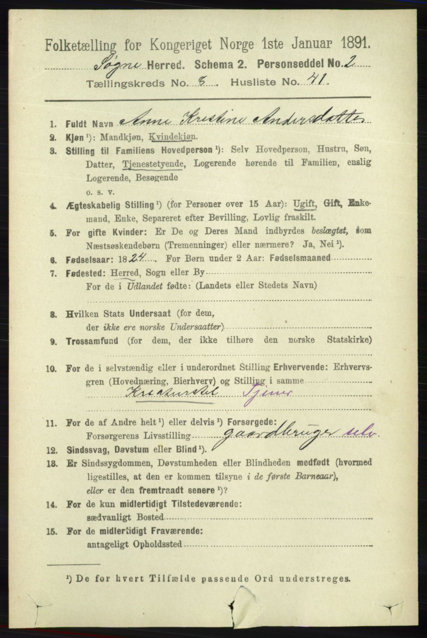 RA, 1891 census for 1018 Søgne, 1891, p. 2489