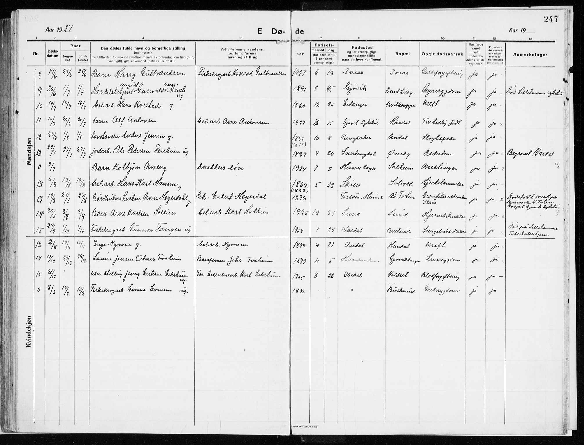 Vardal prestekontor, AV/SAH-PREST-100/H/Ha/Haa/L0017: Parish register (official) no. 17, 1915-1929, p. 247