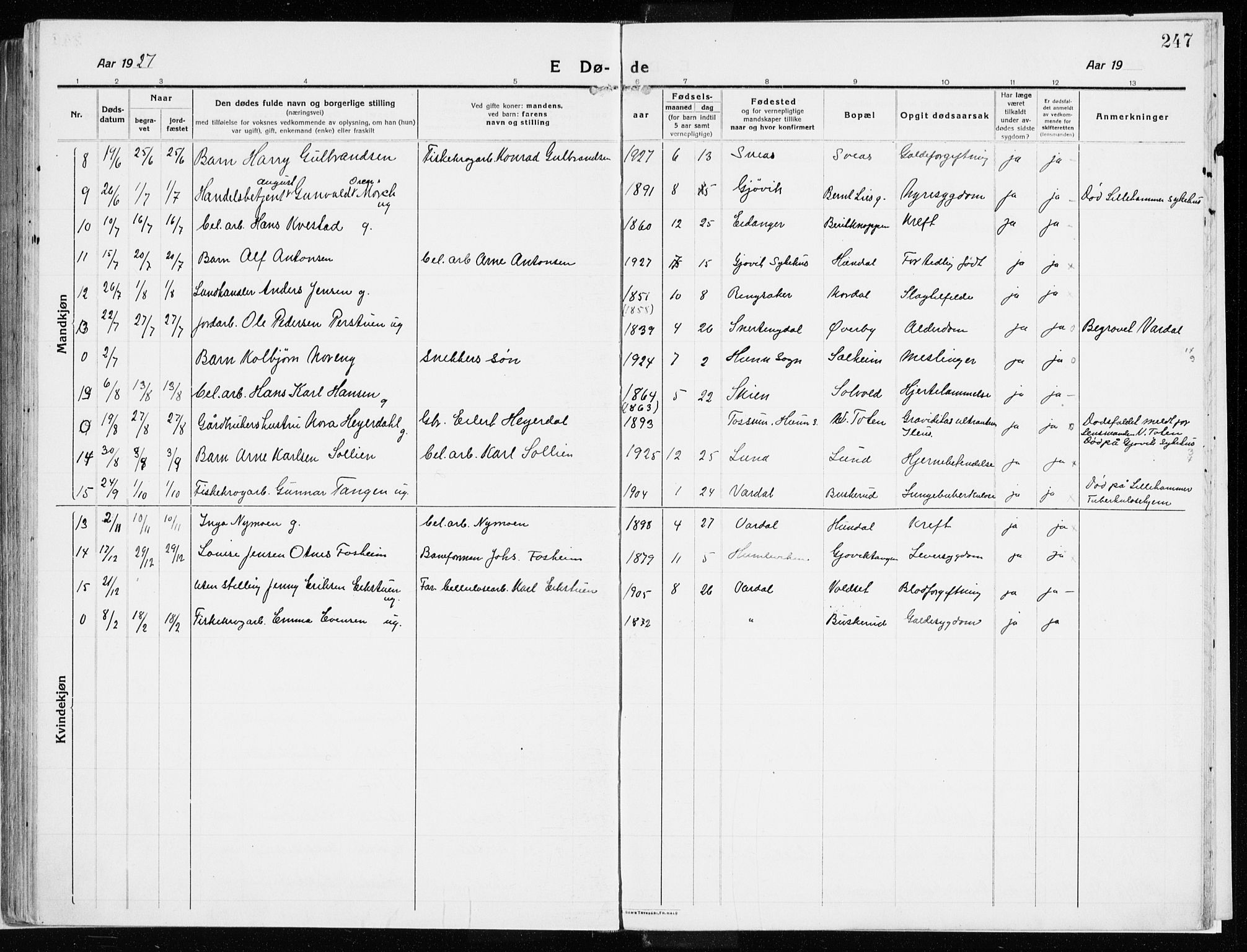 Vardal prestekontor, SAH/PREST-100/H/Ha/Haa/L0017: Parish register (official) no. 17, 1915-1929, p. 247