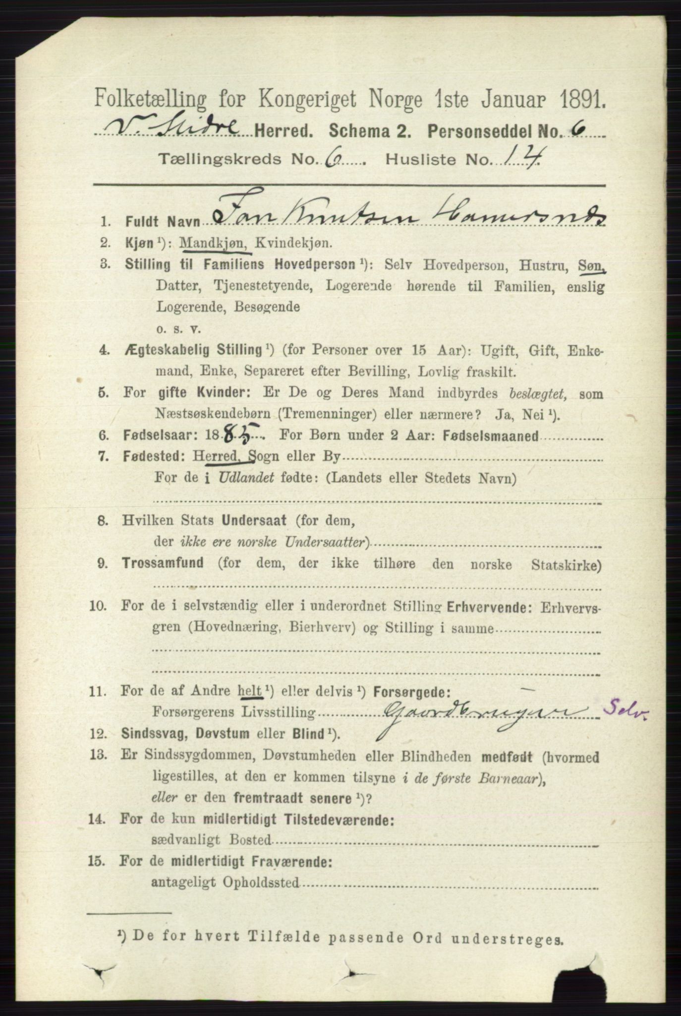 RA, 1891 census for 0543 Vestre Slidre, 1891, p. 2139