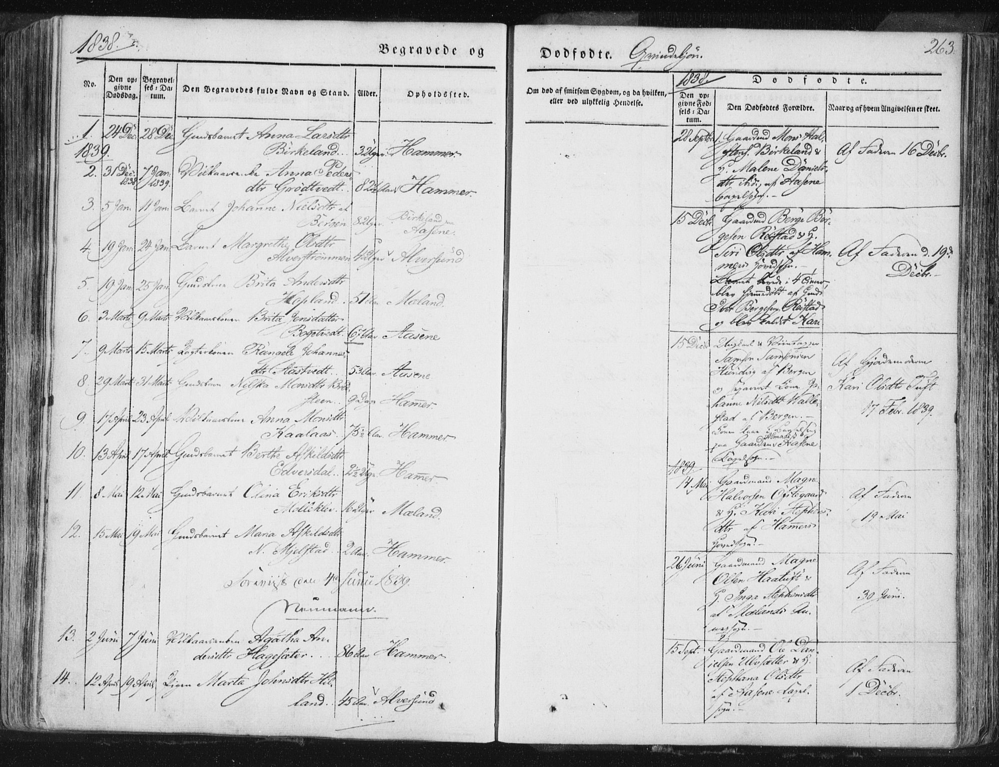 Hamre sokneprestembete, SAB/A-75501/H/Ha/Haa/Haaa/L0012: Parish register (official) no. A 12, 1834-1845, p. 263