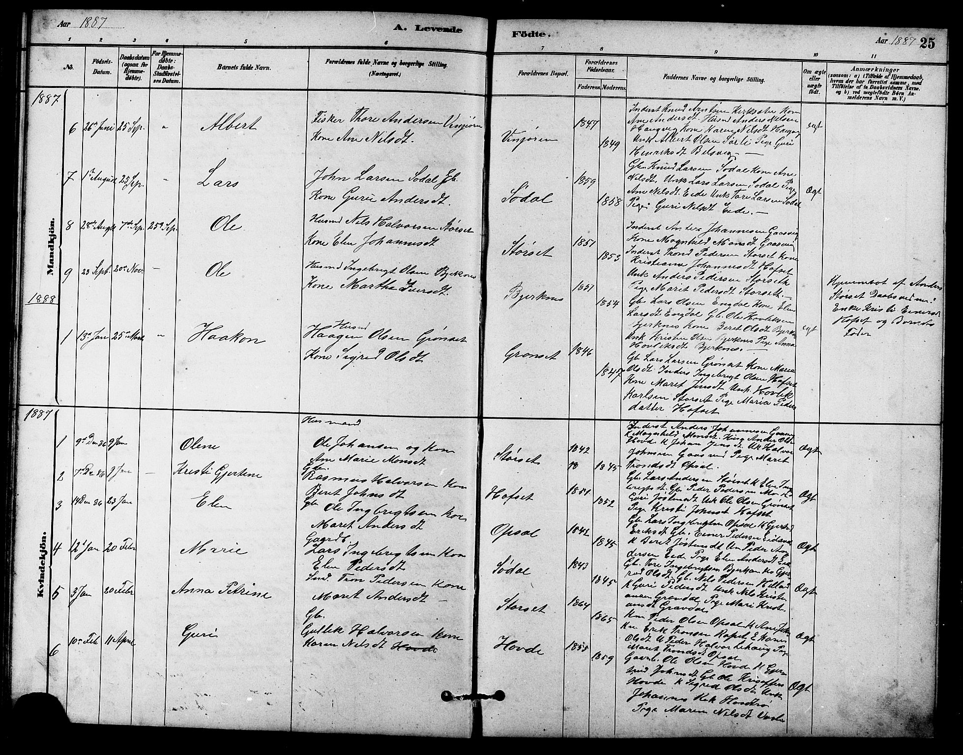 Ministerialprotokoller, klokkerbøker og fødselsregistre - Sør-Trøndelag, AV/SAT-A-1456/631/L0514: Parish register (copy) no. 631C02, 1879-1912, p. 25