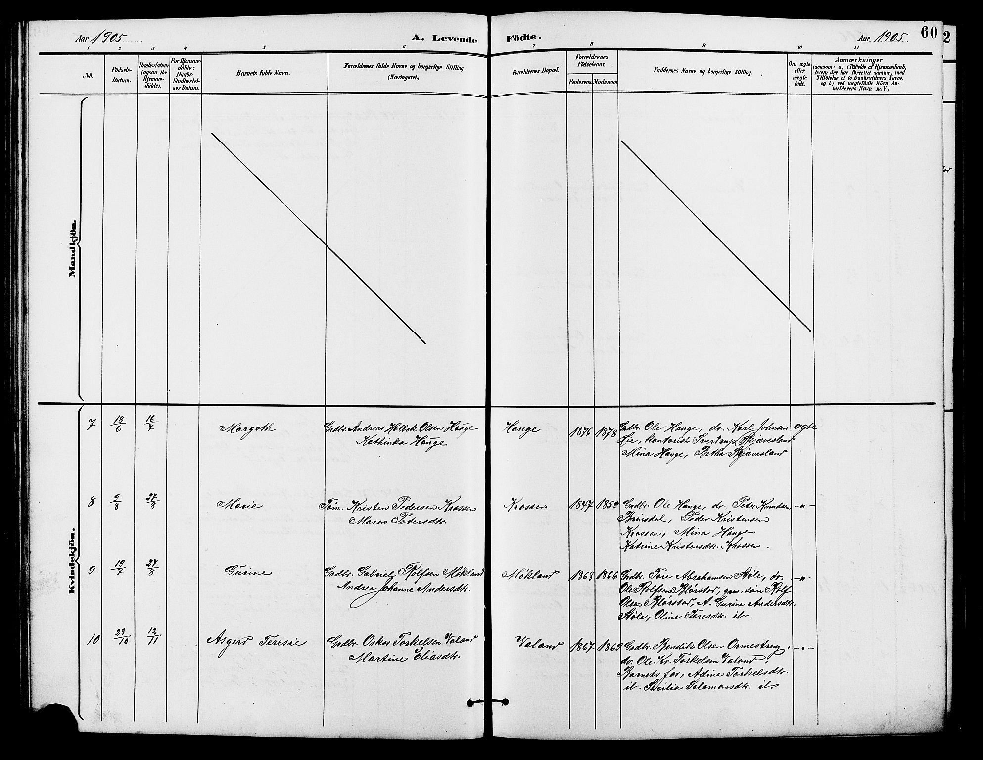 Holum sokneprestkontor, SAK/1111-0022/F/Fb/Fba/L0005: Parish register (copy) no. B 5, 1891-1909, p. 60