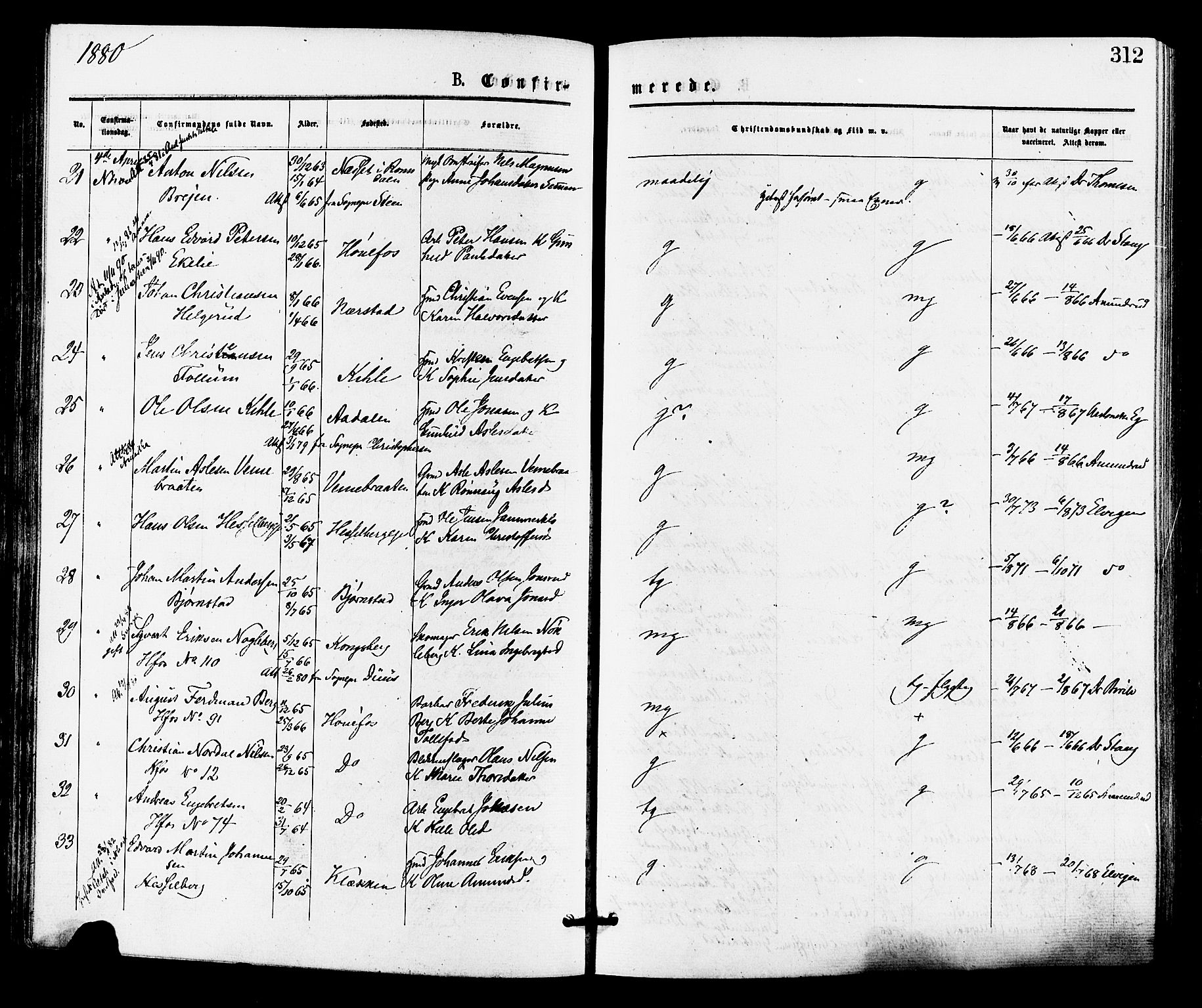 Norderhov kirkebøker, AV/SAKO-A-237/F/Fa/L0015: Parish register (official) no. 15, 1875-1884, p. 312