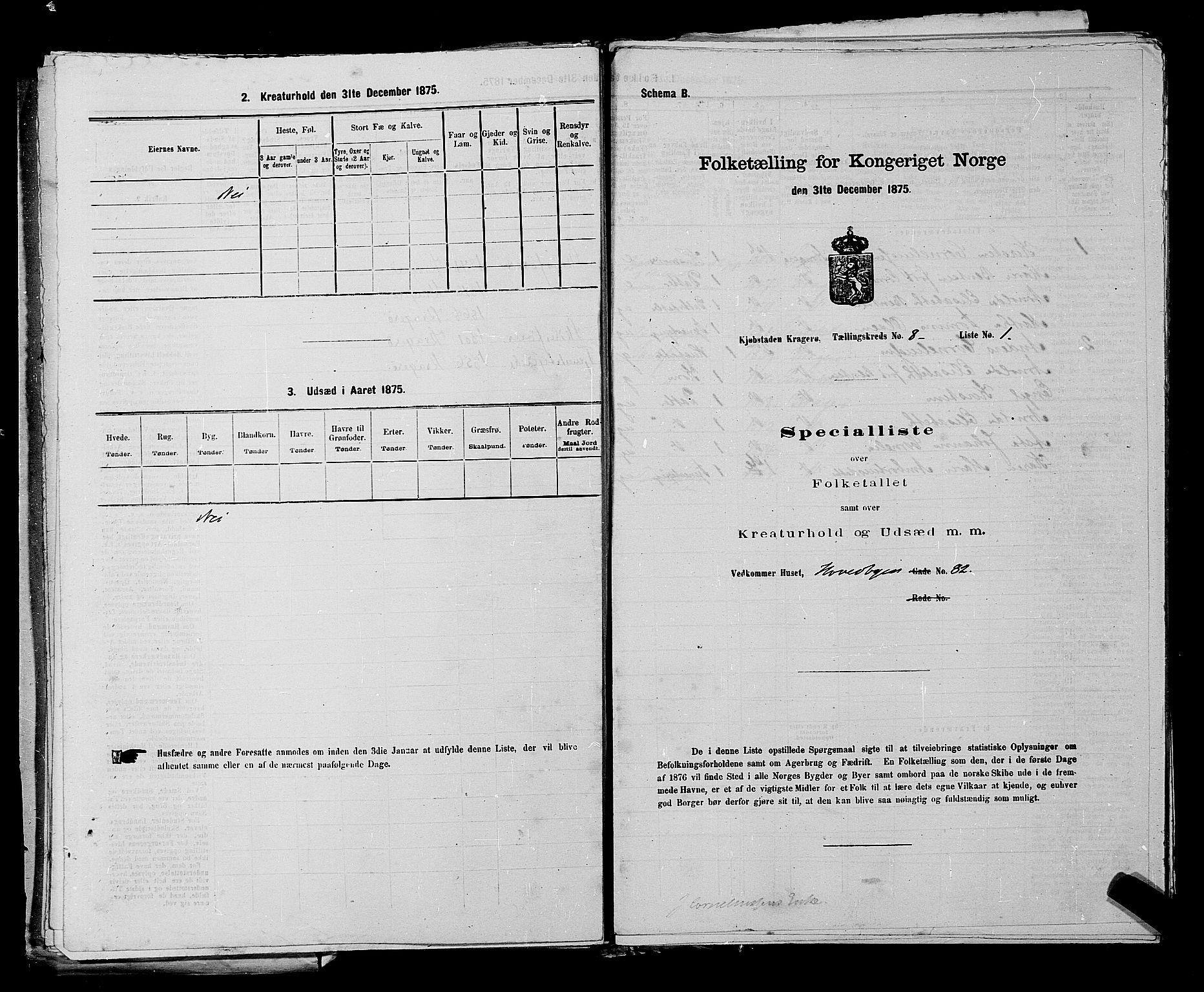 SAKO, 1875 census for 0801P Kragerø, 1875, p. 172