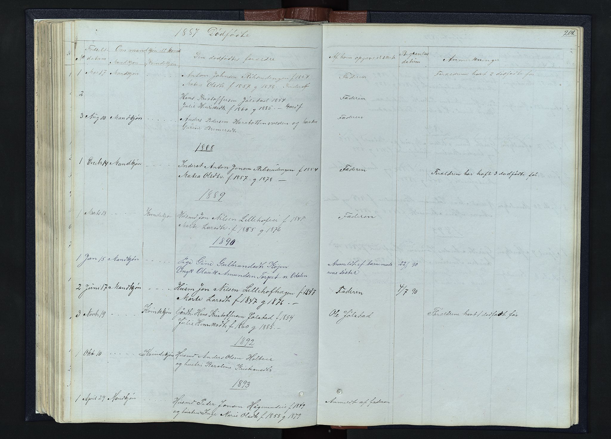 Romedal prestekontor, AV/SAH-PREST-004/L/L0010: Parish register (copy) no. 10, 1860-1895, p. 204