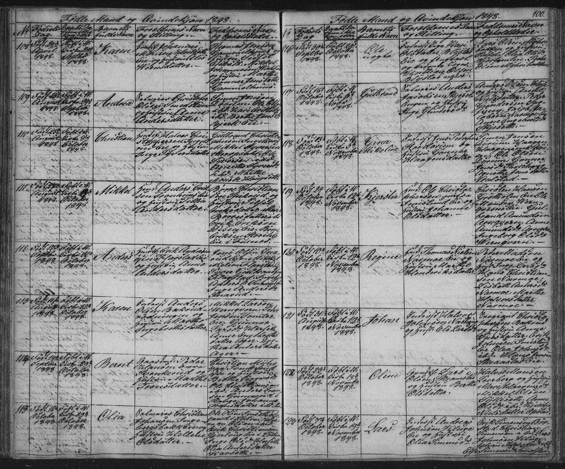 Vang prestekontor, Hedmark, AV/SAH-PREST-008/H/Ha/Hab/L0008: Parish register (copy) no. 8, 1832-1854, p. 100