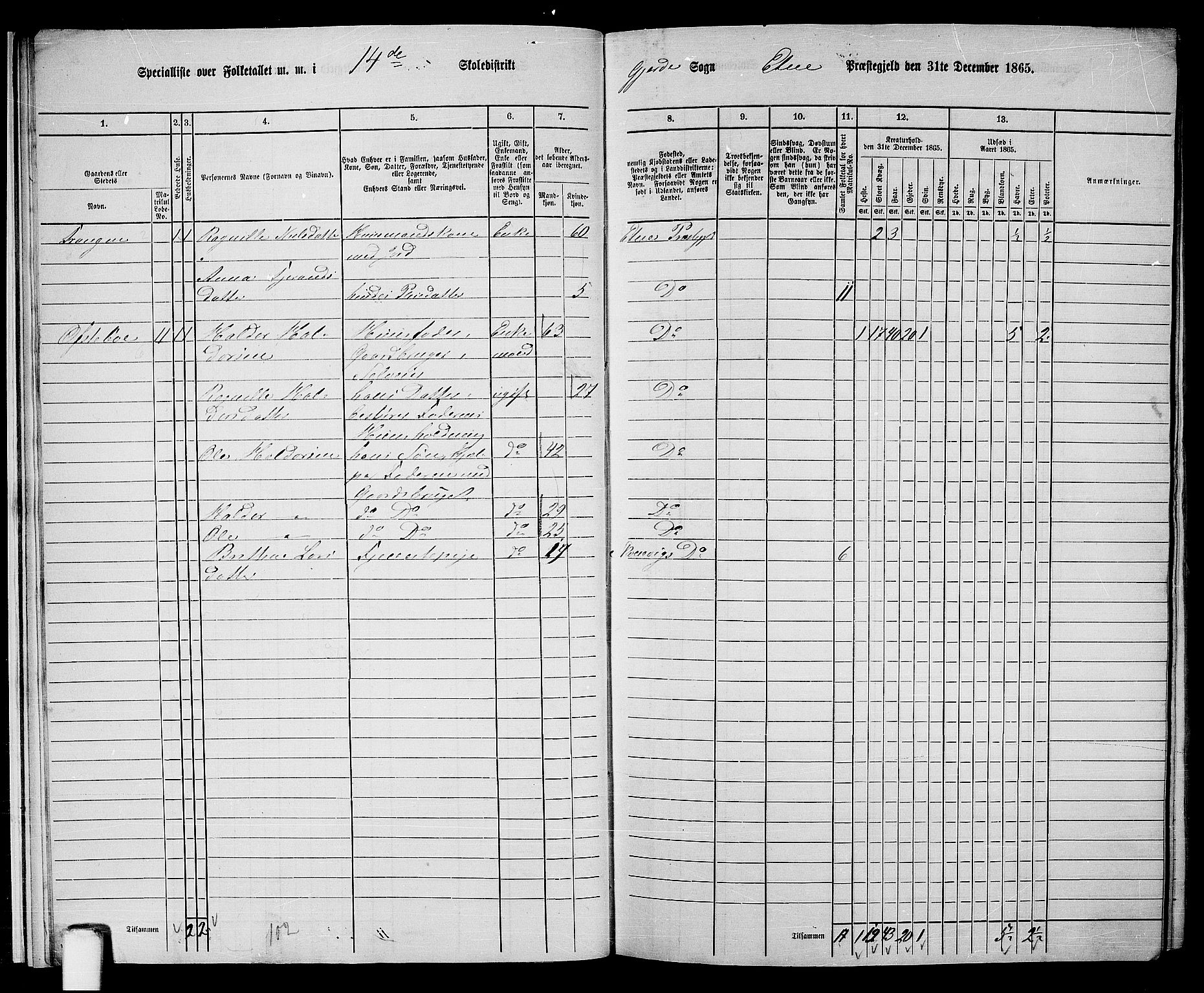 RA, 1865 census for Etne, 1865, p. 16