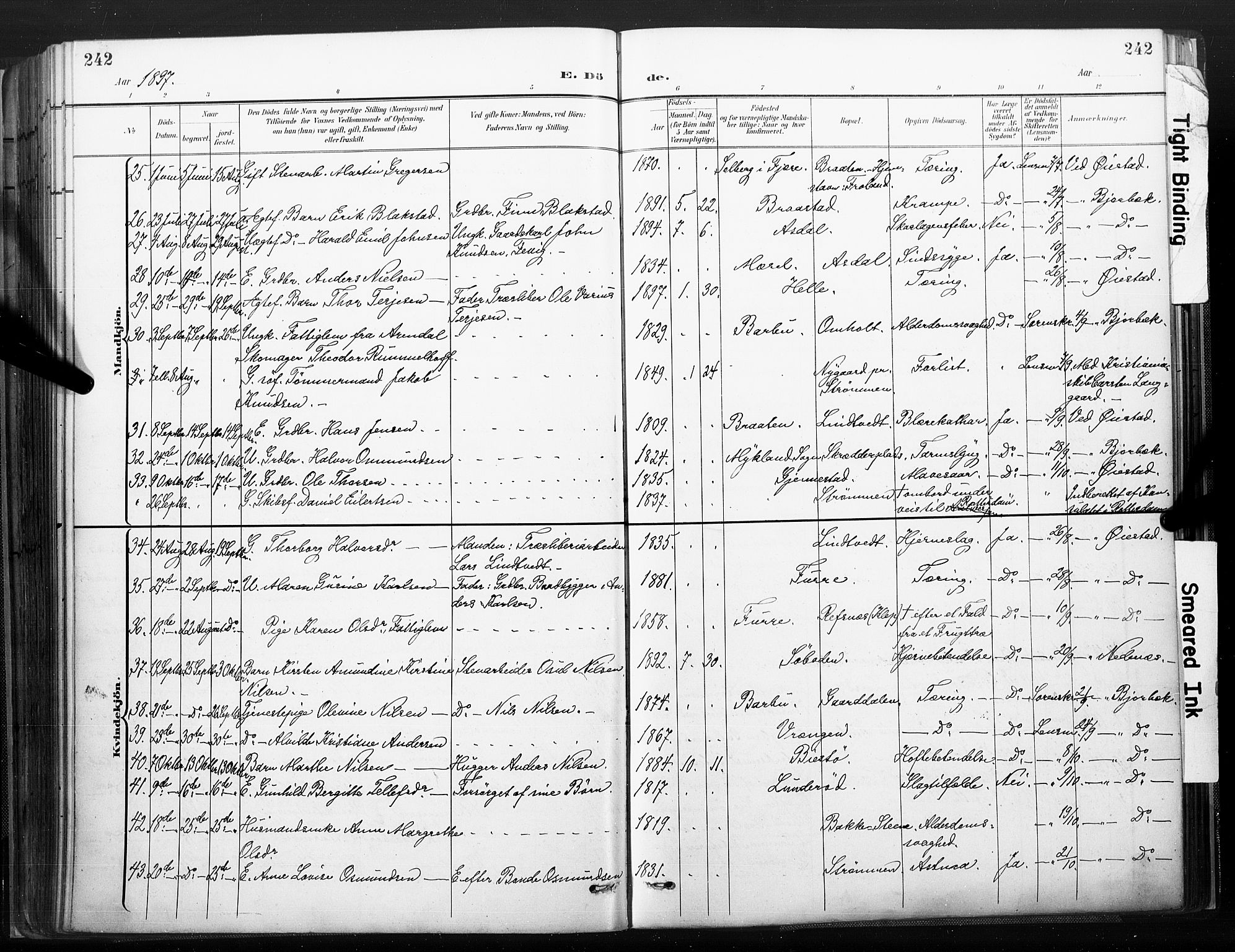 Øyestad sokneprestkontor, AV/SAK-1111-0049/F/Fa/L0018: Parish register (official) no. A 18, 1897-1907, p. 242