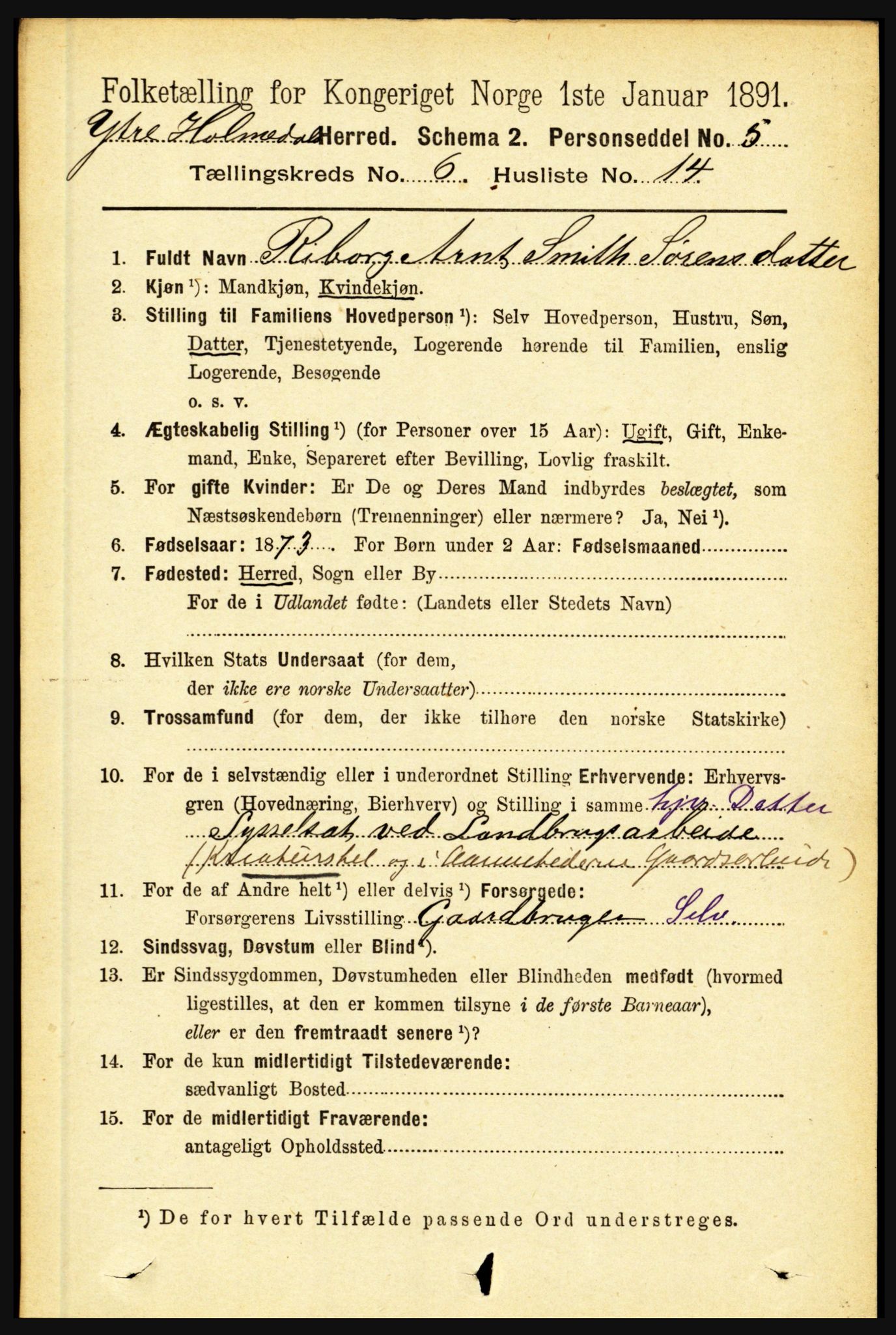 RA, 1891 census for 1429 Ytre Holmedal, 1891, p. 1393