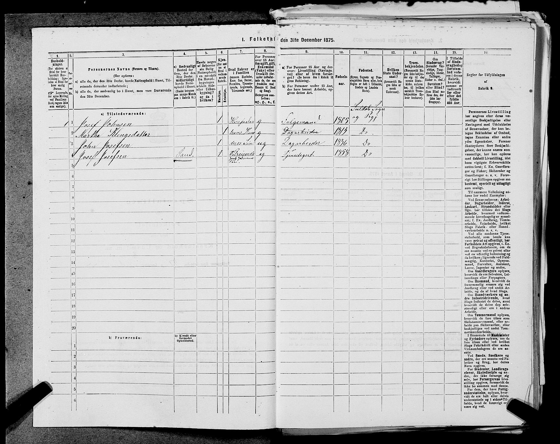 SAST, 1875 census for 1134P Suldal, 1875, p. 378