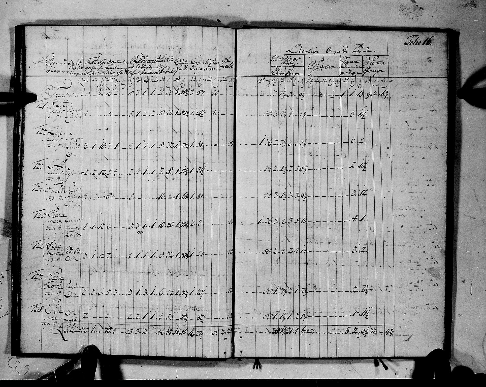 Rentekammeret inntil 1814, Realistisk ordnet avdeling, RA/EA-4070/N/Nb/Nbf/L0142: Voss matrikkelprotokoll, 1723, p. 16