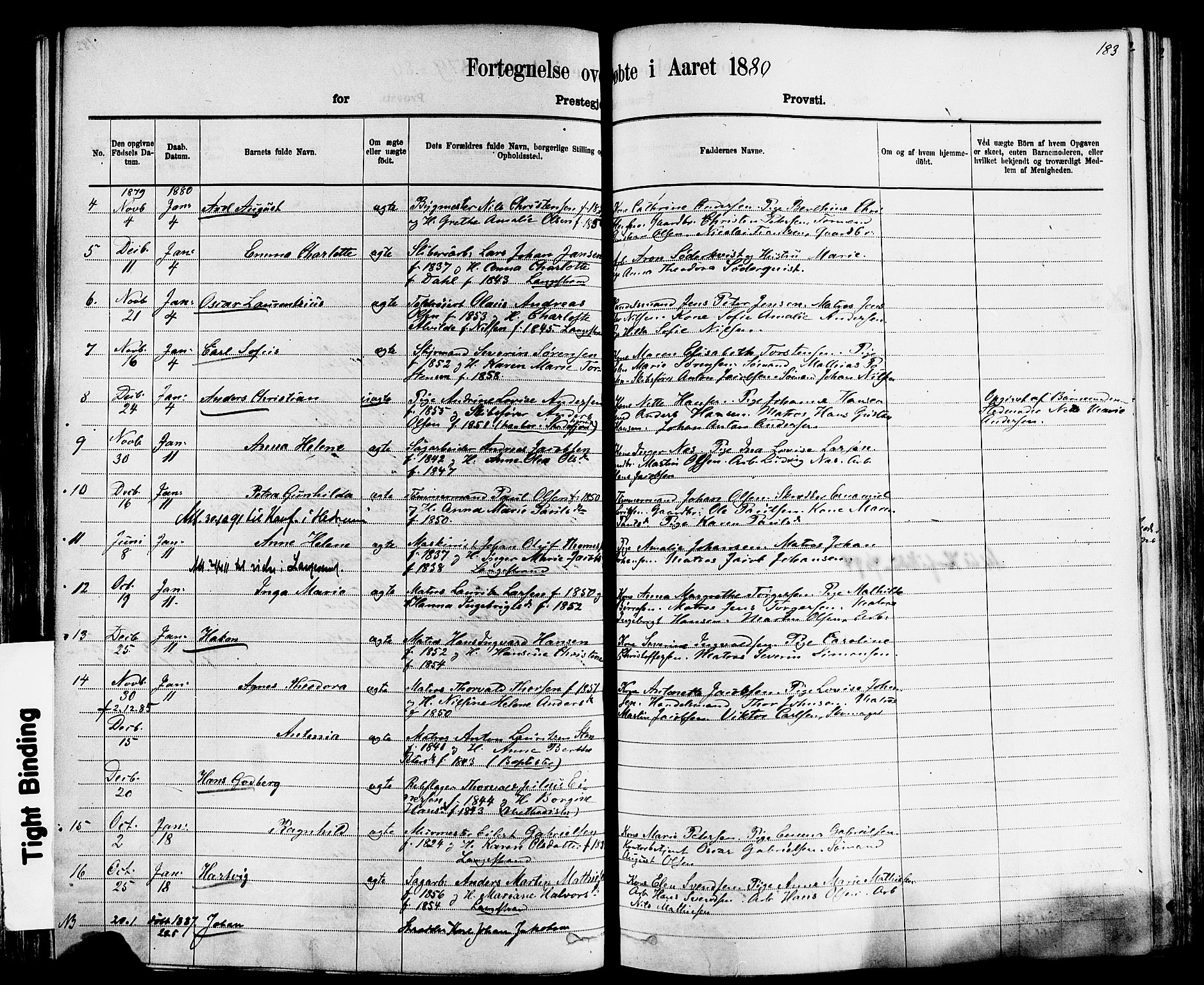 Larvik kirkebøker, AV/SAKO-A-352/F/Fa/L0006: Parish register (official) no. I 6, 1871-1883, p. 183