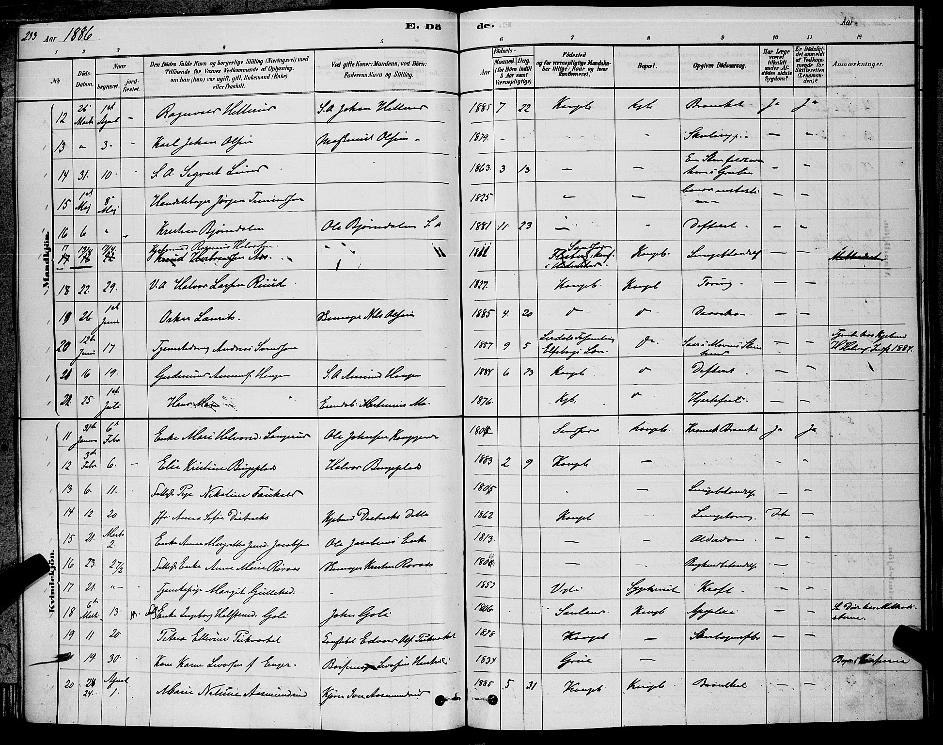 Kongsberg kirkebøker, SAKO/A-22/G/Ga/L0005: Parish register (copy) no. 5, 1878-1889, p. 233