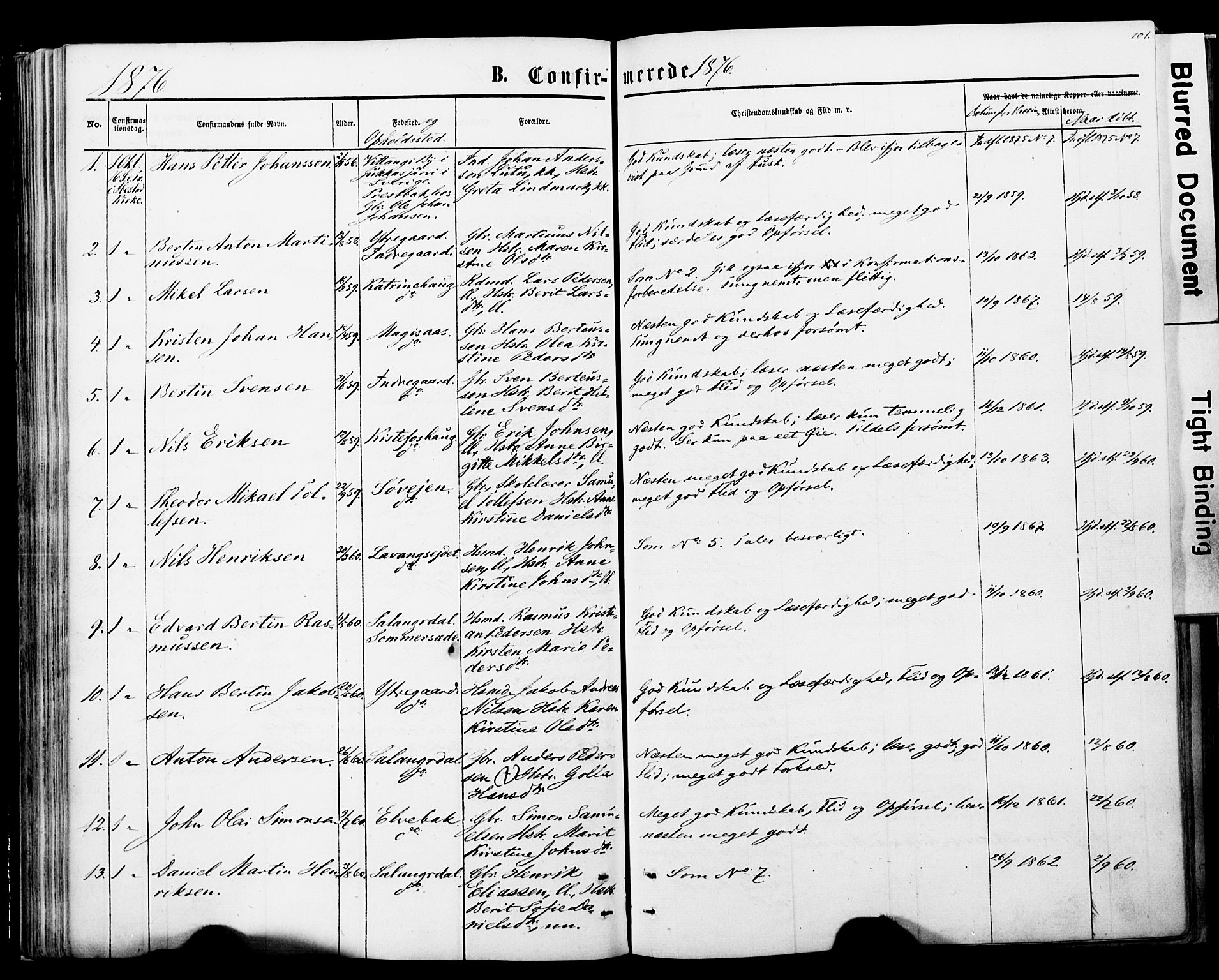 Ibestad sokneprestembete, AV/SATØ-S-0077/H/Ha/Haa/L0013kirke: Parish register (official) no. 13, 1865-1879, p. 101