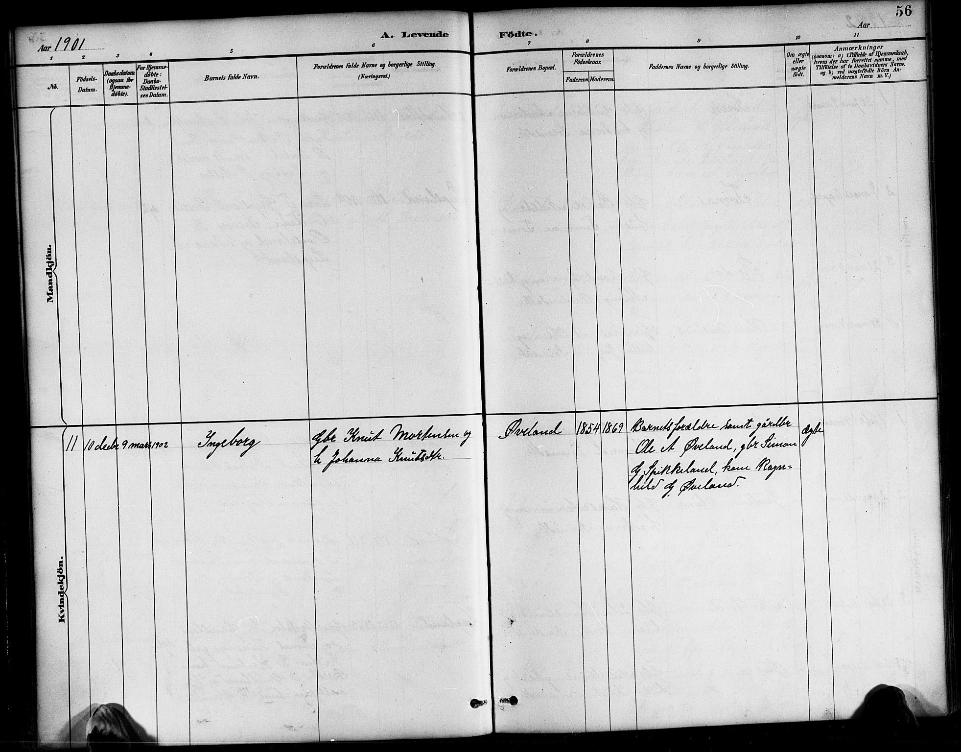 Bjelland sokneprestkontor, SAK/1111-0005/F/Fb/Fbb/L0005: Parish register (copy) no. B 5, 1887-1918, p. 56