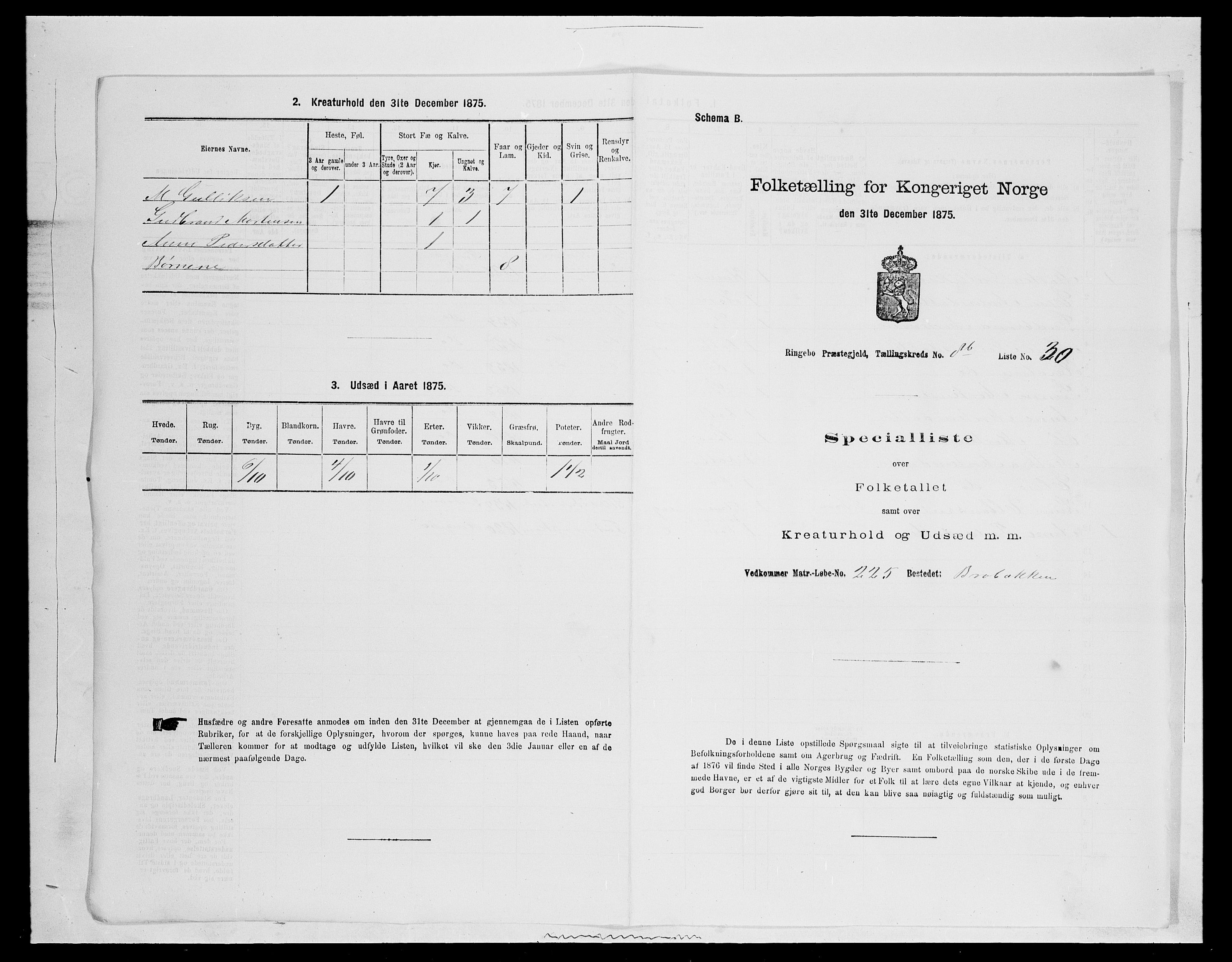 SAH, 1875 census for 0520P Ringebu, 1875, p. 1330