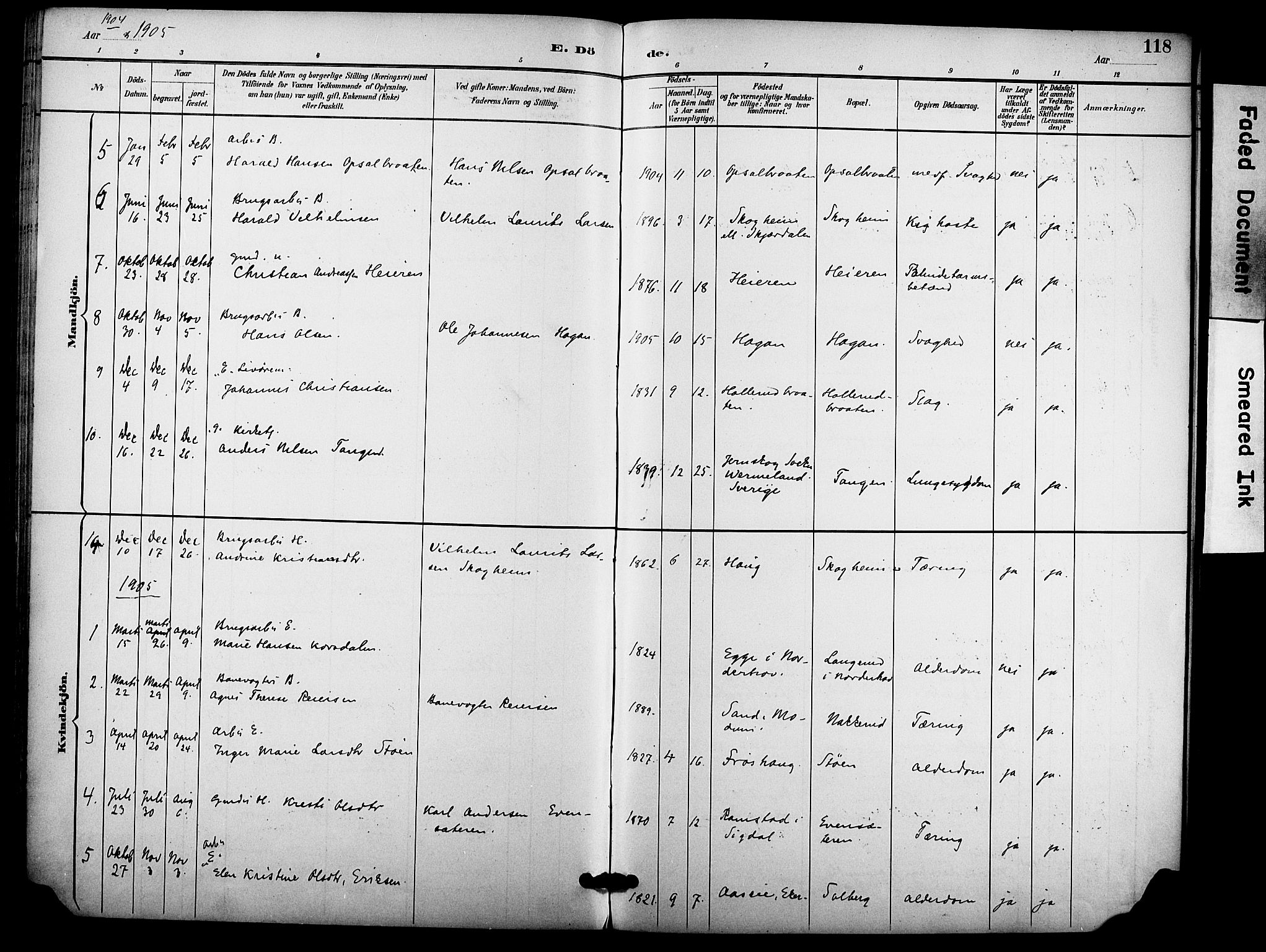 Hole kirkebøker, AV/SAKO-A-228/F/Fb/L0002: Parish register (official) no. II 2, 1892-1906, p. 118