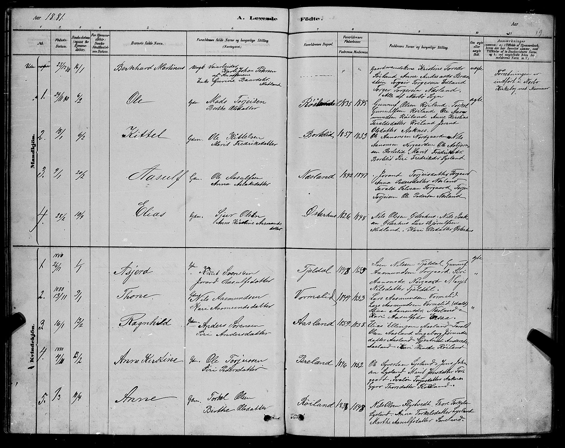 Åseral sokneprestkontor, AV/SAK-1111-0051/F/Fb/L0002: Parish register (copy) no. B 2, 1878-1899, p. 19