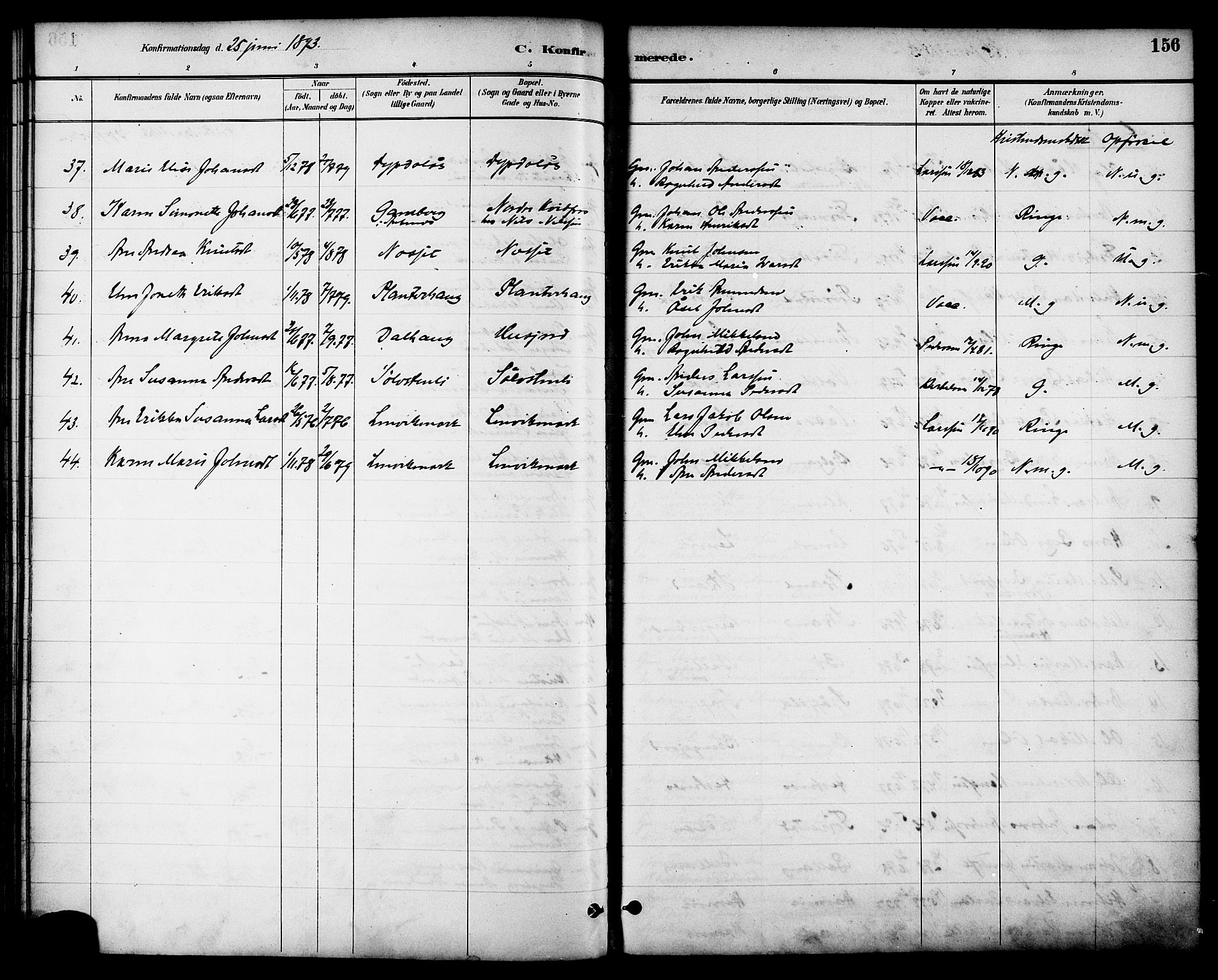 Ministerialprotokoller, klokkerbøker og fødselsregistre - Nordland, AV/SAT-A-1459/863/L0898: Parish register (official) no. 863A10, 1886-1897, p. 156