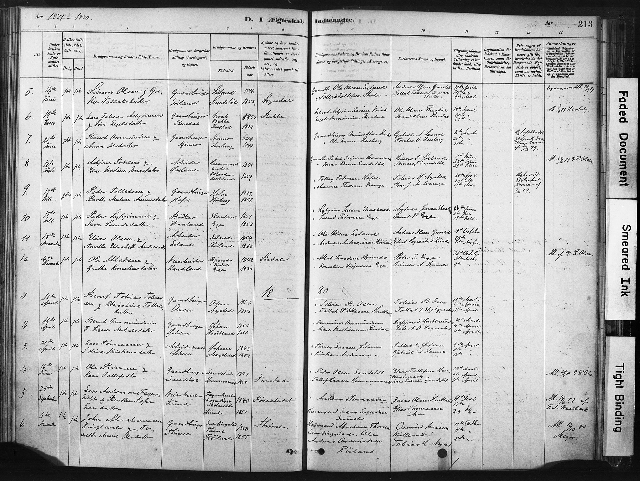 Lund sokneprestkontor, SAST/A-101809/S06/L0011: Parish register (official) no. A 10, 1877-1904, p. 213