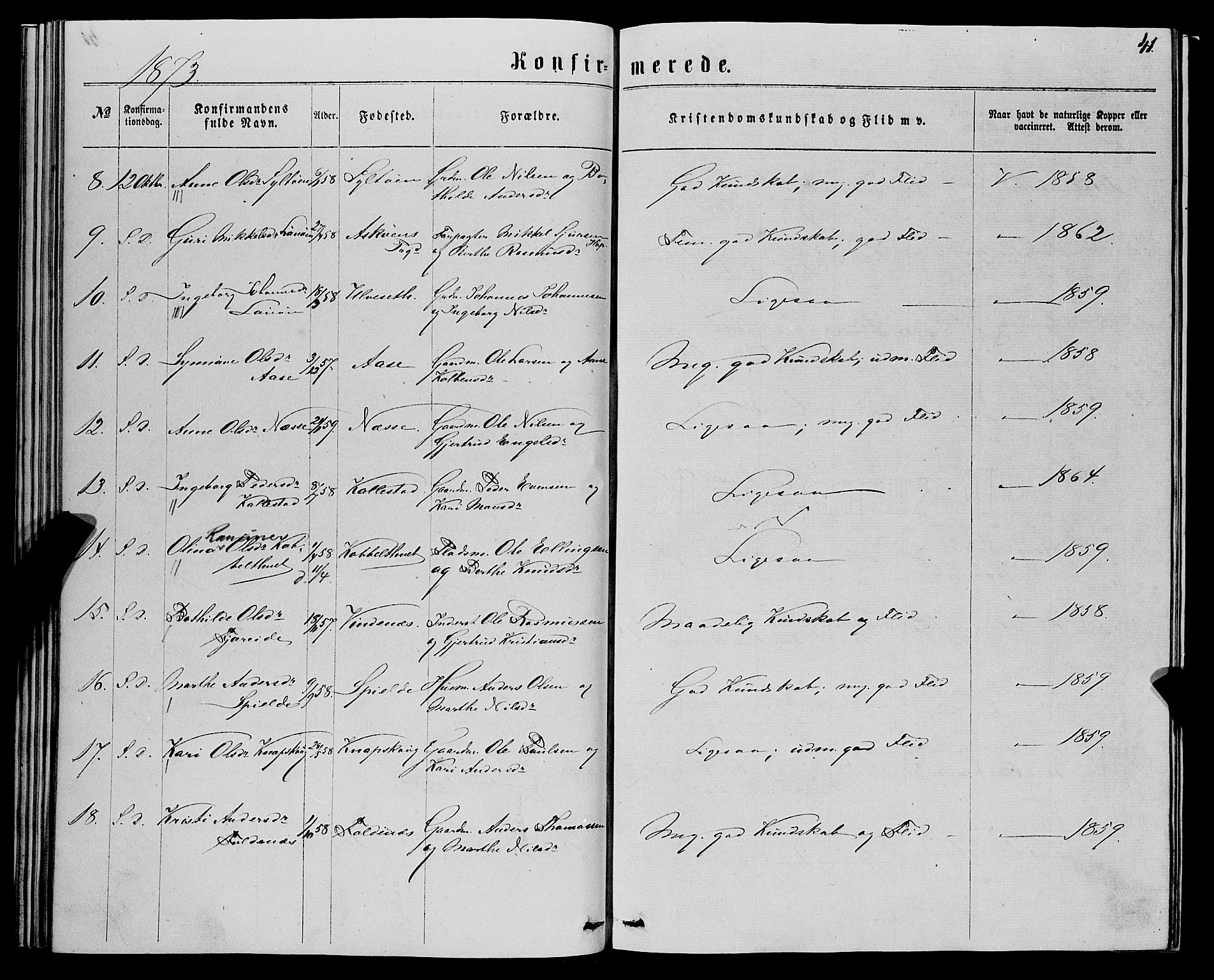 Fjell sokneprestembete, AV/SAB-A-75301/H/Haa: Parish register (official) no. A 5, 1864-1877, p. 41