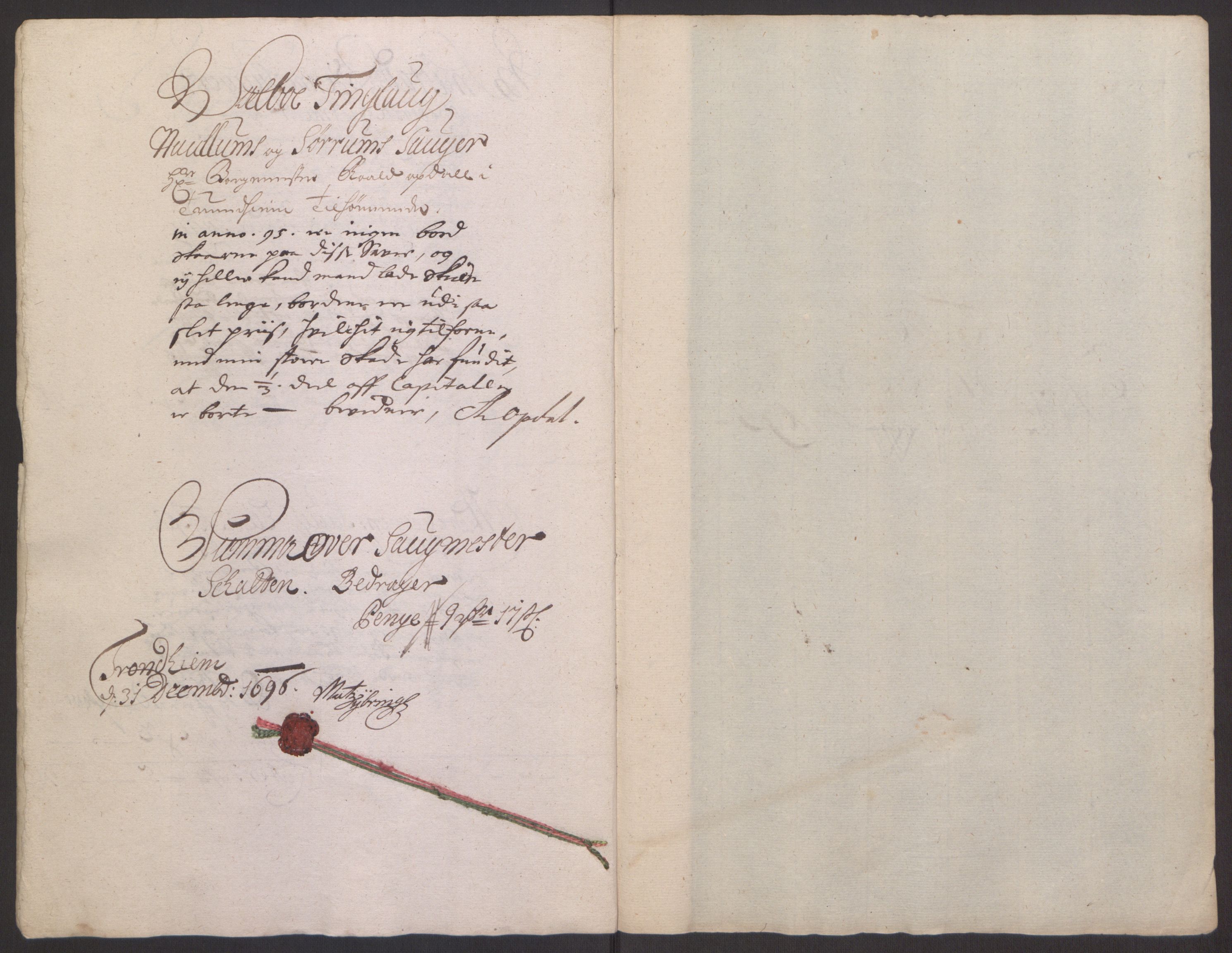 Rentekammeret inntil 1814, Reviderte regnskaper, Fogderegnskap, AV/RA-EA-4092/R61/L4105: Fogderegnskap Strinda og Selbu, 1695, p. 25