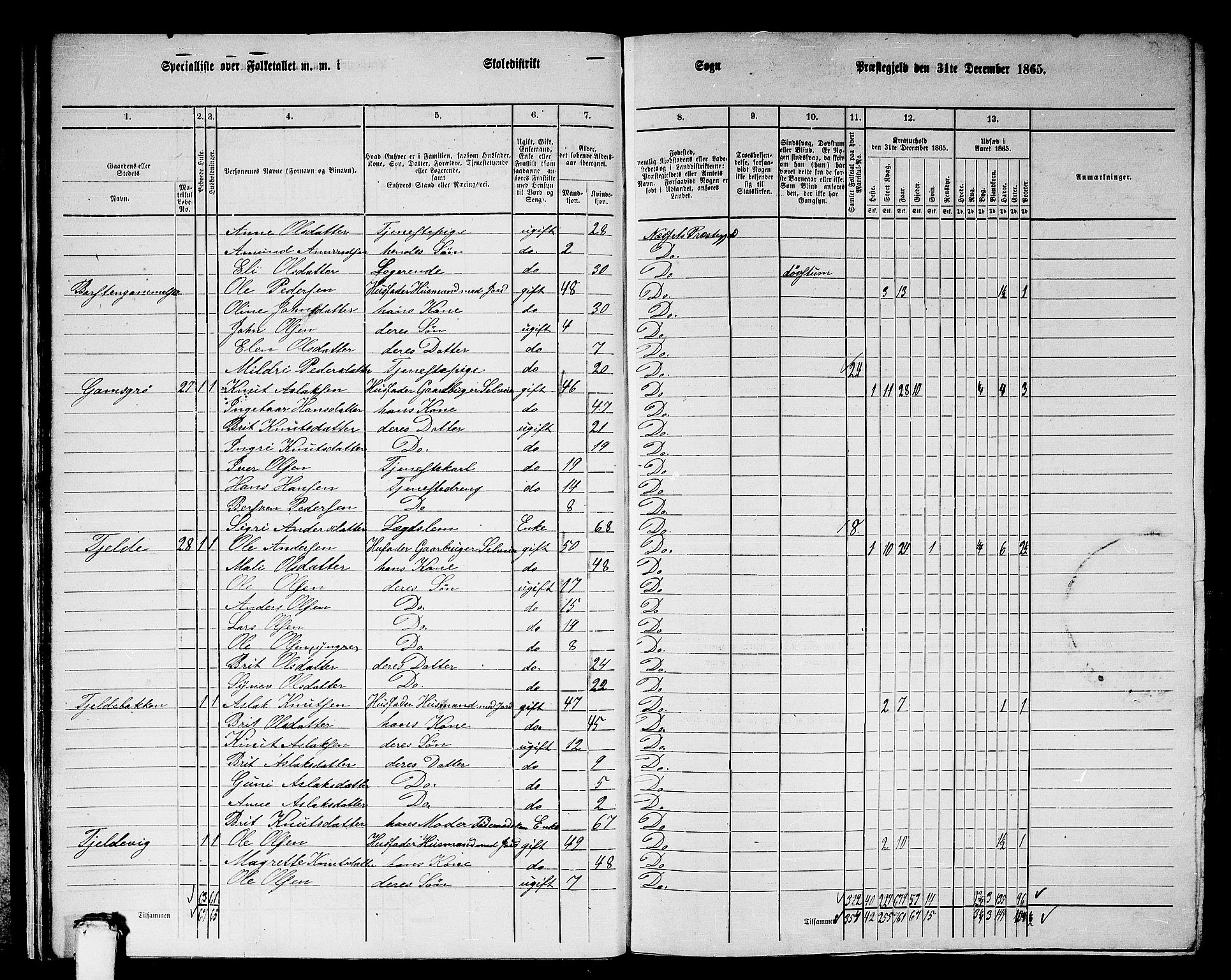 RA, 1865 census for Nesset, 1865, p. 22