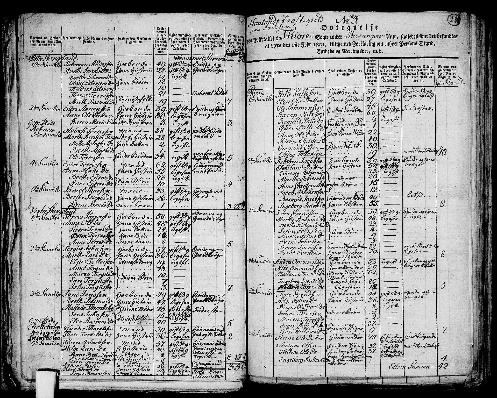 RA, 1801 census for 1124P Håland, 1801, p. 237b-238a