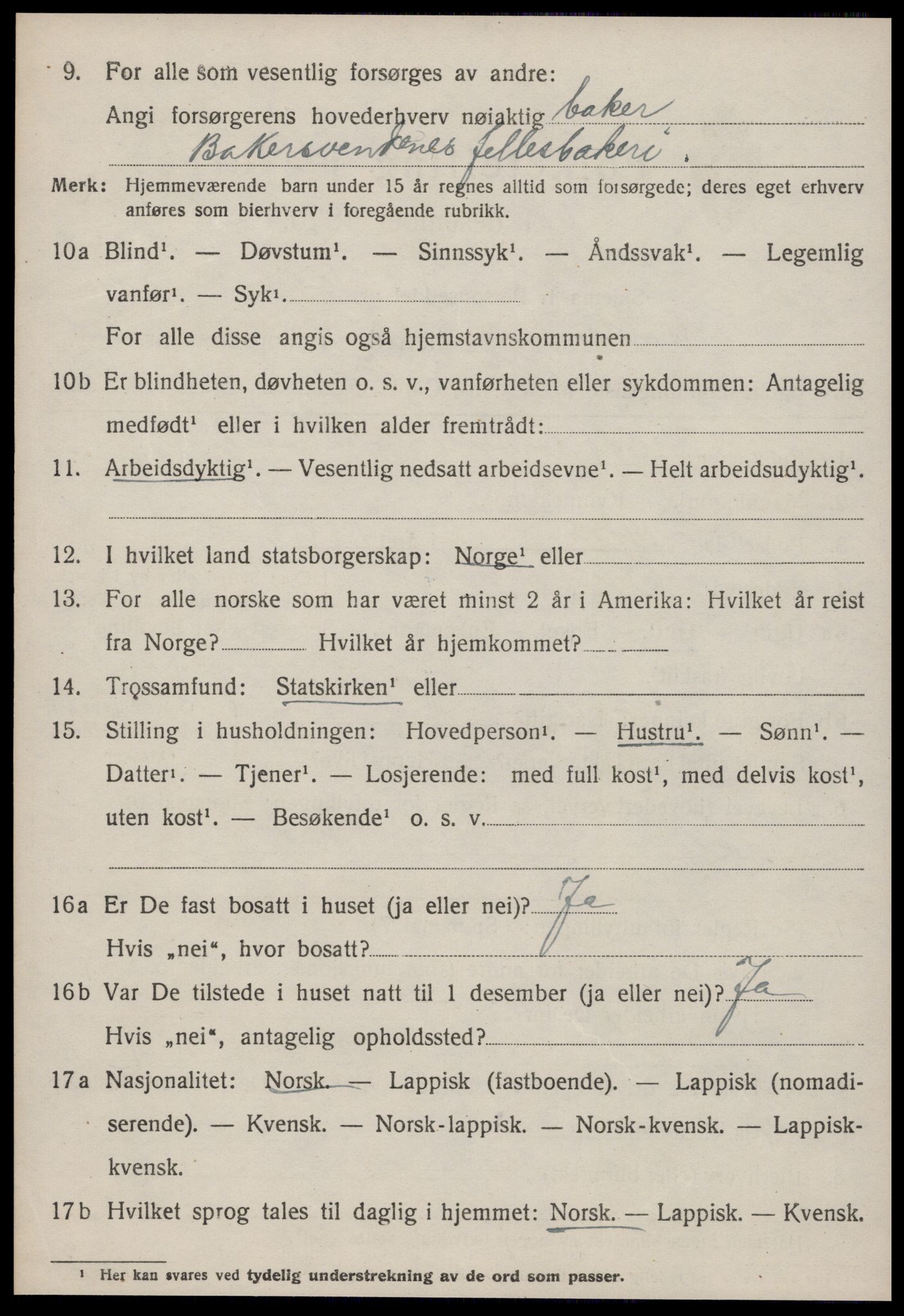 SAT, 1920 census for Strinda, 1920, p. 19455