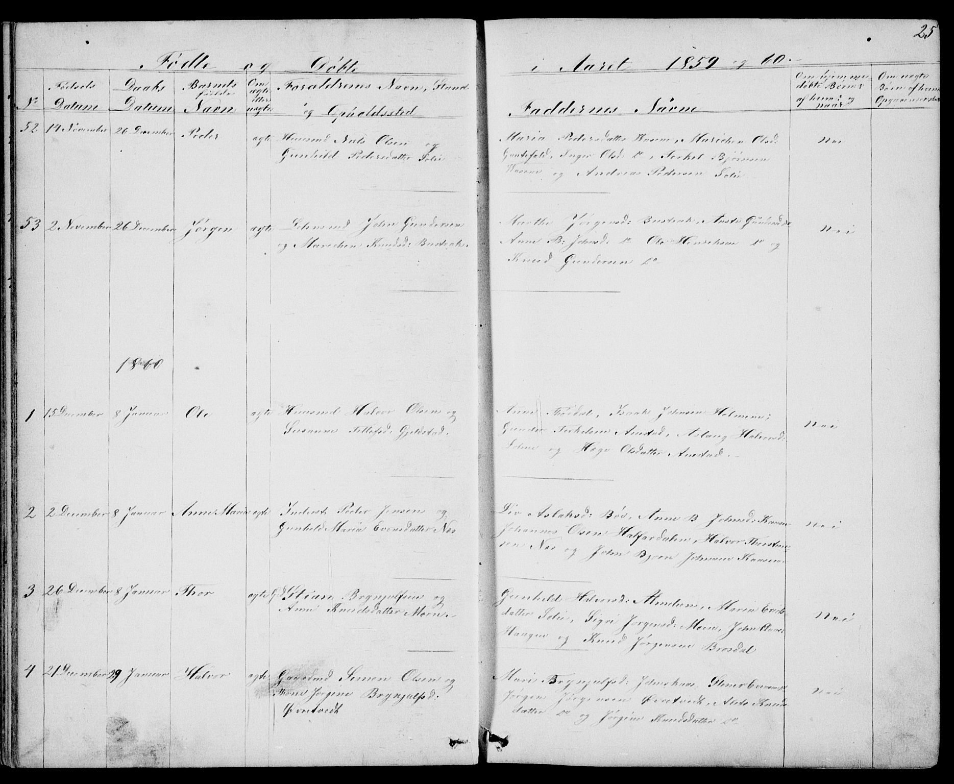 Drangedal kirkebøker, SAKO/A-258/G/Gb/L0001: Parish register (copy) no. II 1, 1856-1894, p. 25