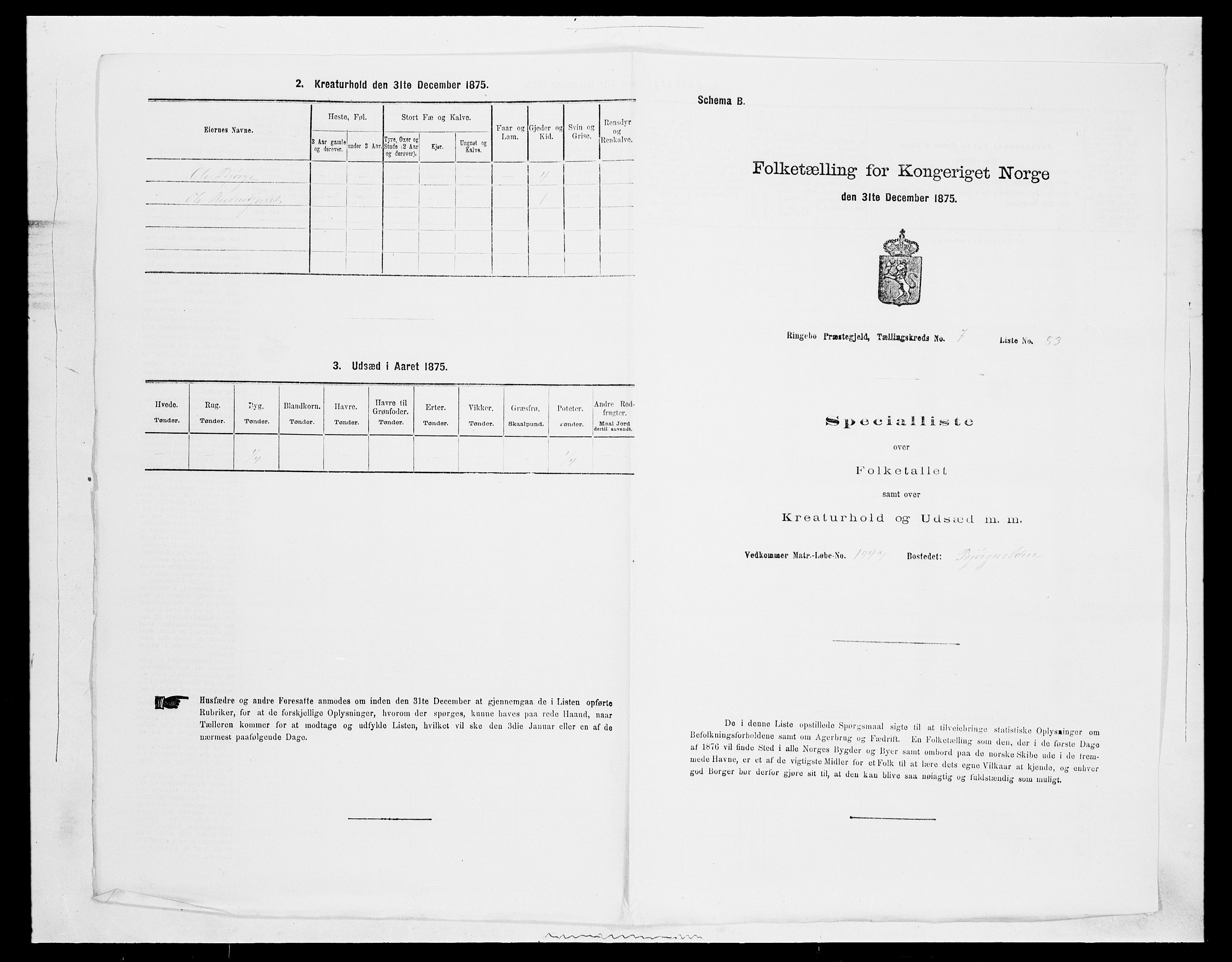 SAH, 1875 census for 0520P Ringebu, 1875, p. 1174