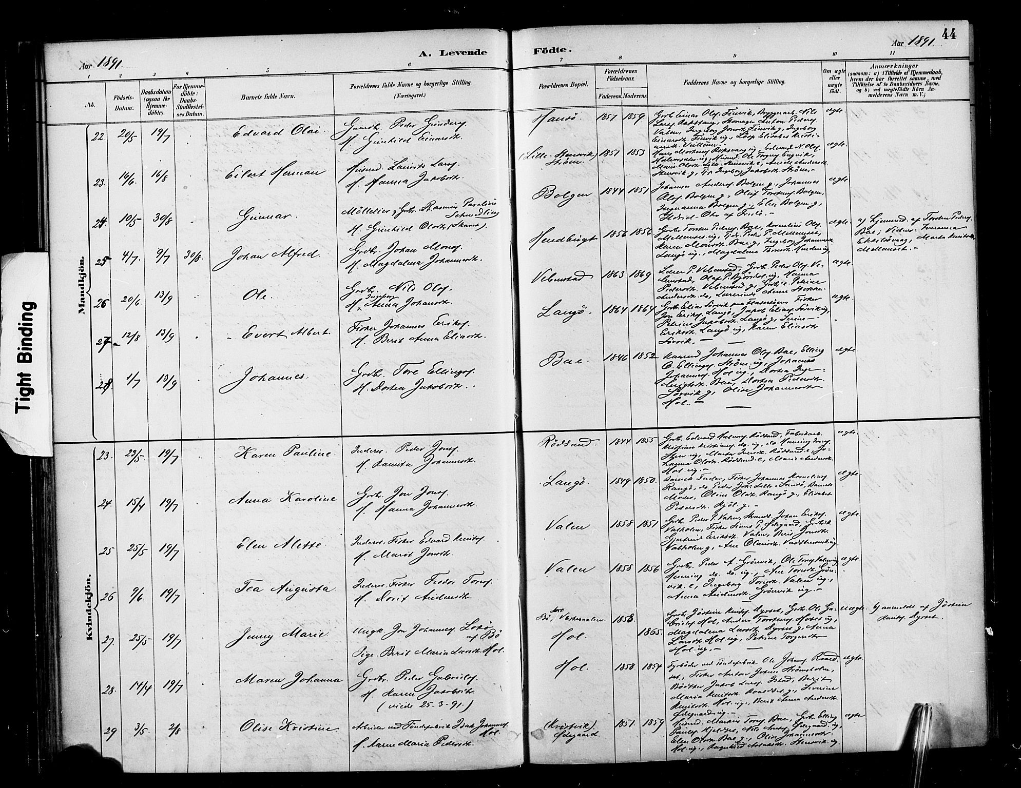 Ministerialprotokoller, klokkerbøker og fødselsregistre - Møre og Romsdal, AV/SAT-A-1454/569/L0819: Parish register (official) no. 569A05, 1885-1899, p. 44