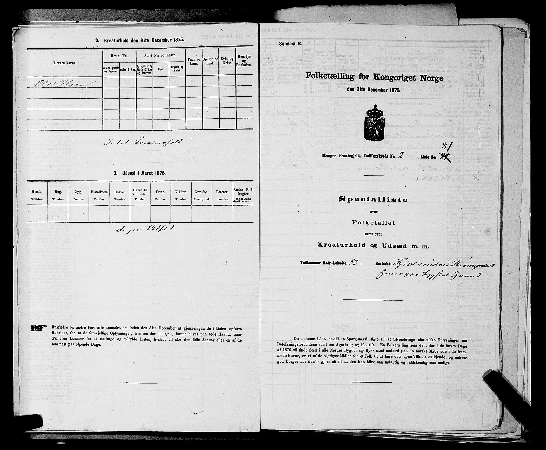 SAKO, 1875 census for 0712P Skoger, 1875, p. 317