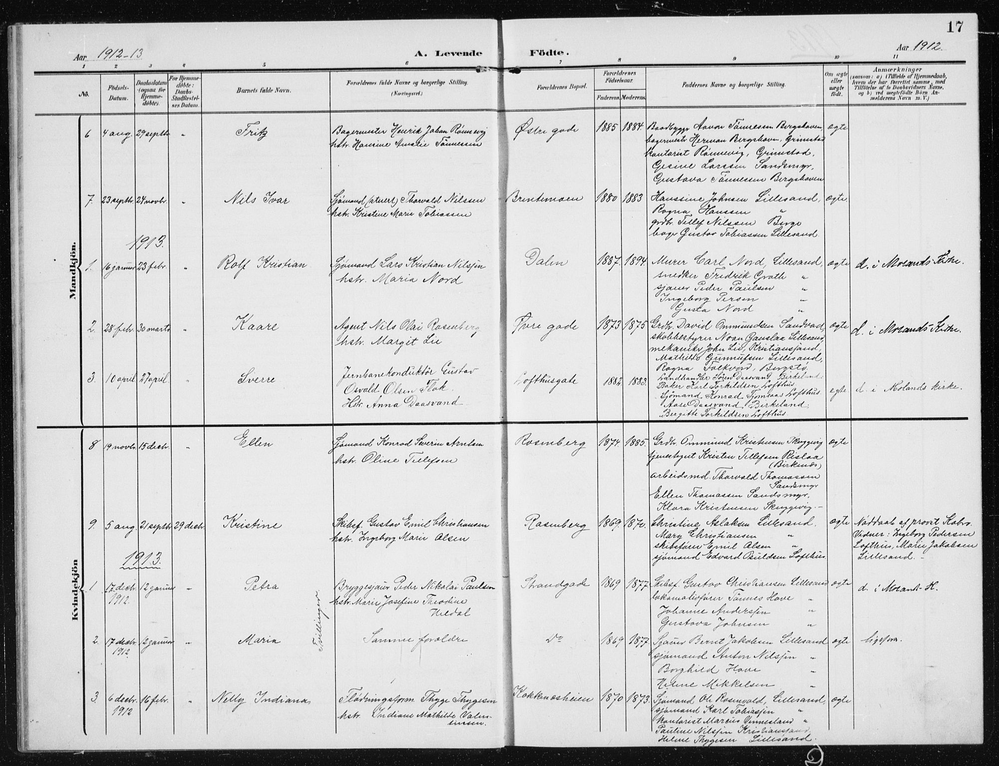Vestre Moland sokneprestkontor, AV/SAK-1111-0046/F/Fb/Fba/L0002: Parish register (copy) no. B 2, 1904-1934, p. 17