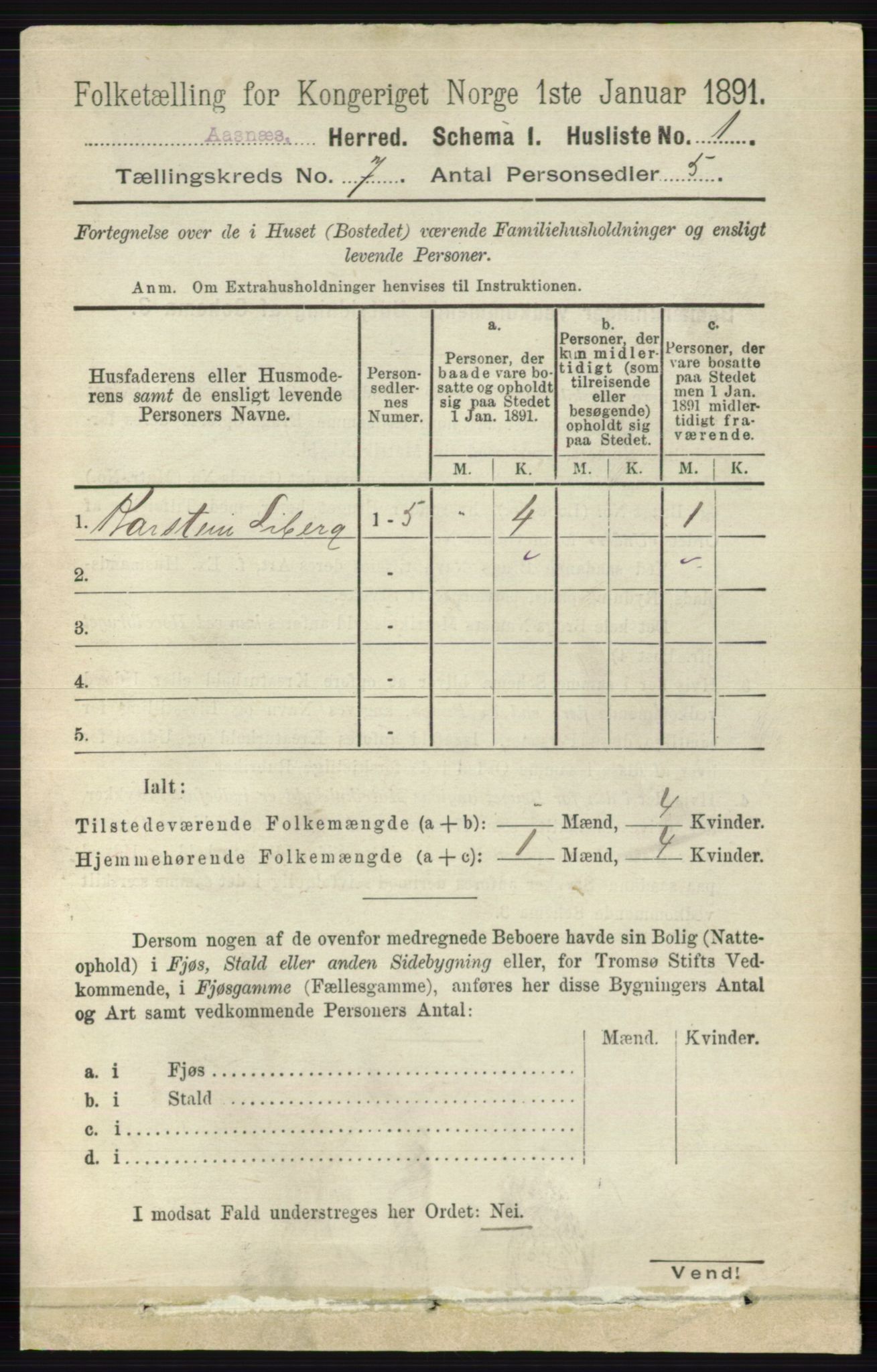 RA, 1891 census for 0425 Åsnes, 1891, p. 3236