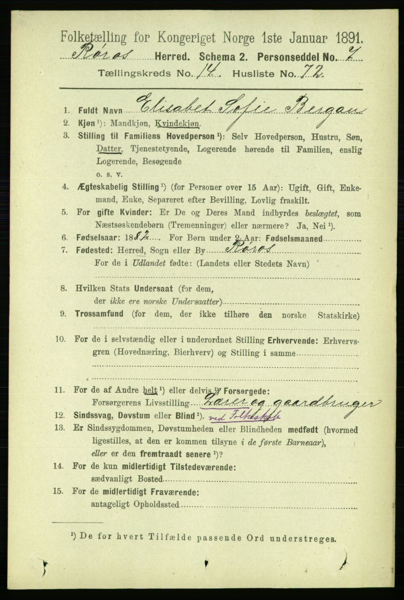 RA, 1891 census for 1640 Røros, 1891, p. 3258