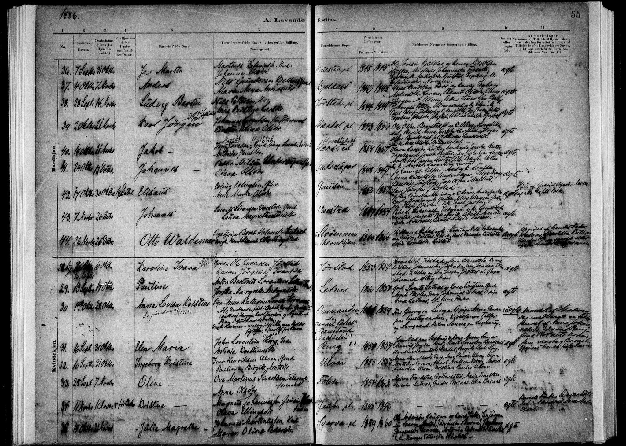 Ministerialprotokoller, klokkerbøker og fødselsregistre - Nord-Trøndelag, SAT/A-1458/730/L0285: Parish register (official) no. 730A10, 1879-1914, p. 55