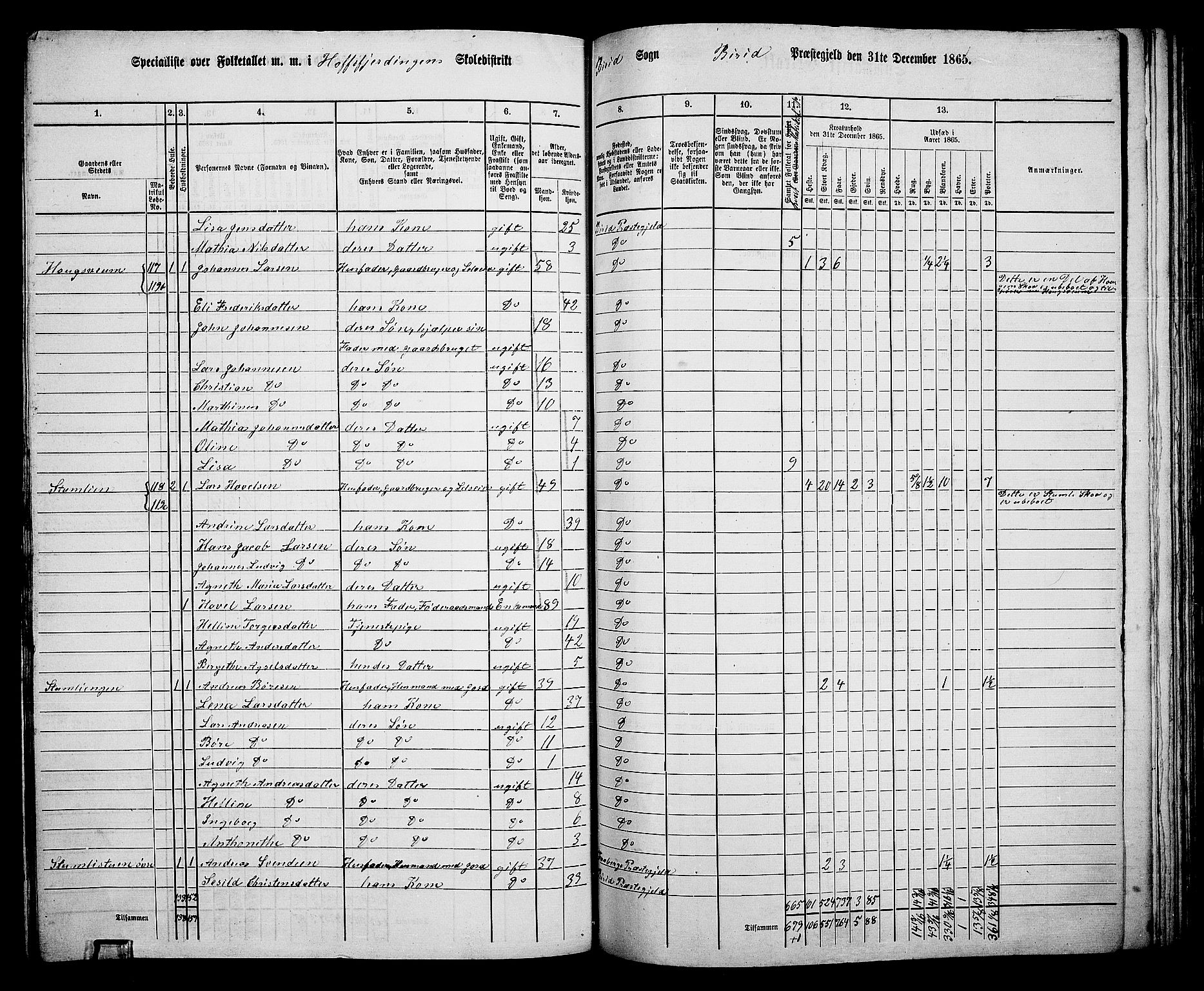 RA, 1865 census for Biri, 1865, p. 111