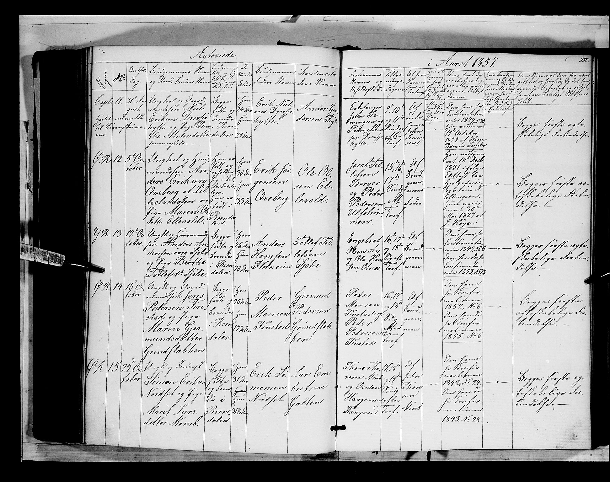 Rendalen prestekontor, SAH/PREST-054/H/Ha/Haa/L0005: Parish register (official) no. 5, 1853-1866, p. 238