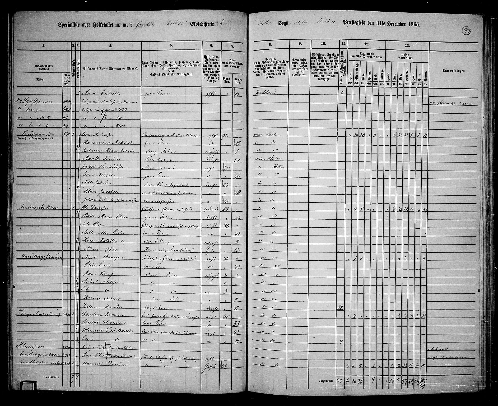 RA, 1865 census for Vestre Toten, 1865, p. 244