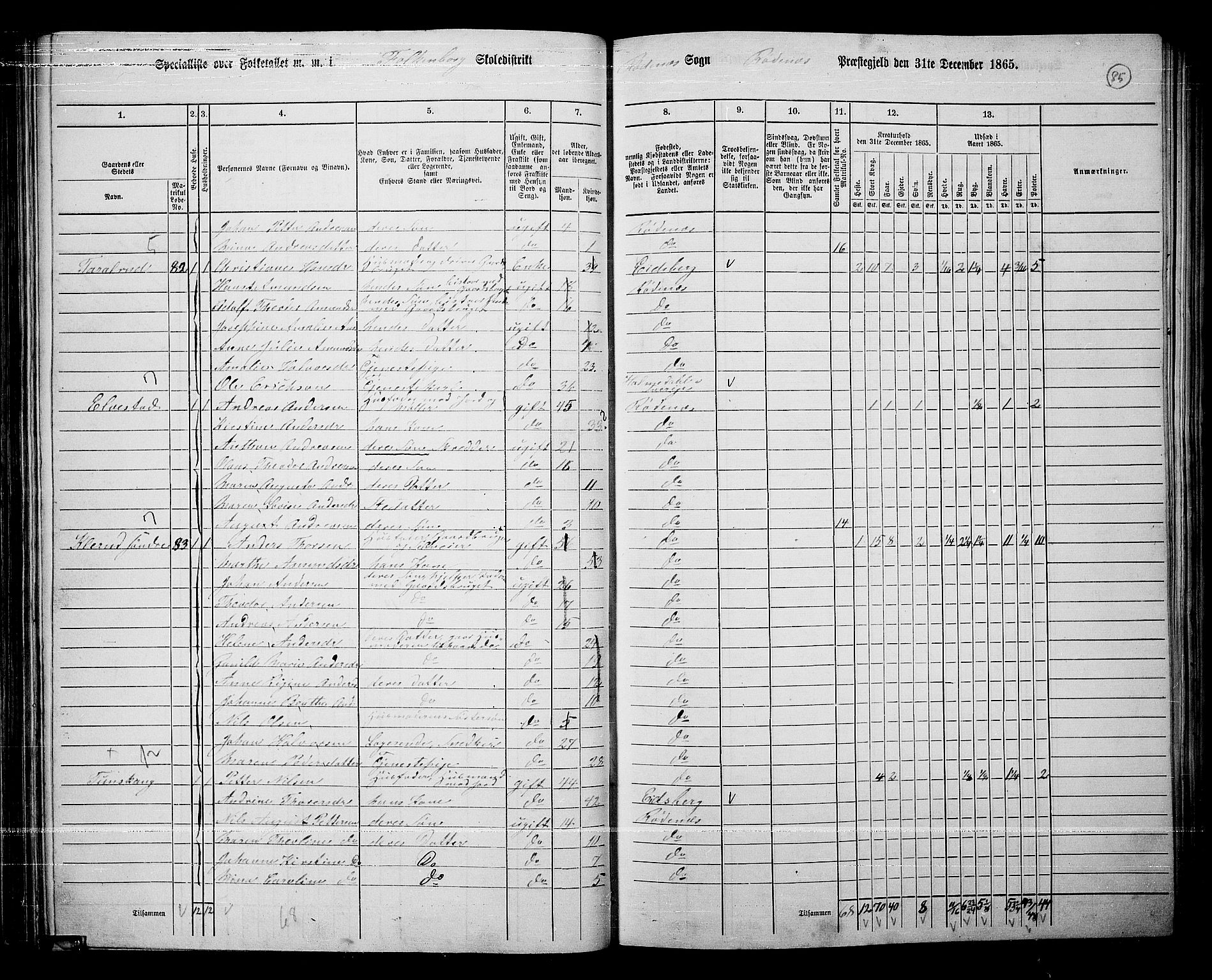 RA, 1865 census for Rødenes, 1865, p. 74