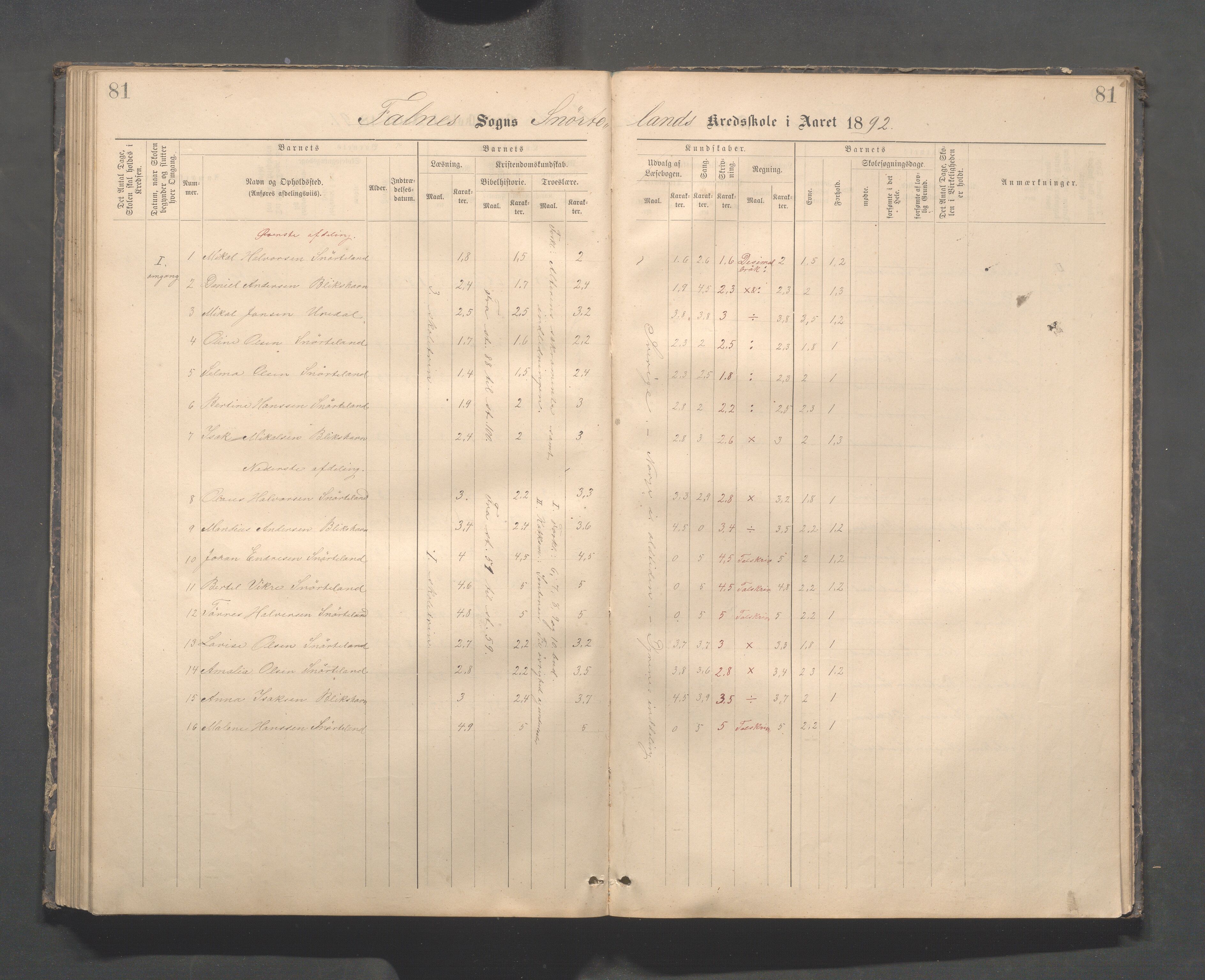 Skudenes kommune - Dale - Hillesland - Snørteland skolekretser, IKAR/A-306/H/L0003: Dale - Hillesland - Snørteland, 1883-1892, p. 81